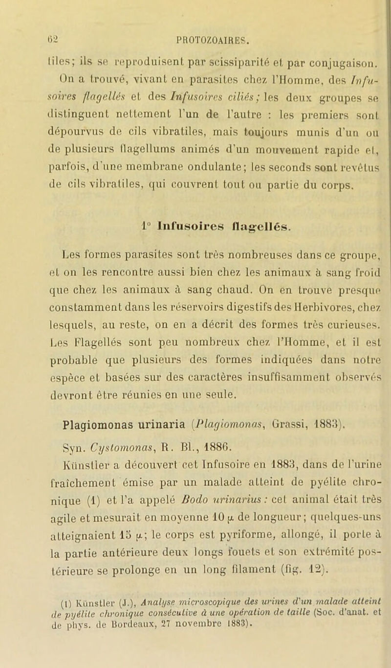 Iiles; ils se reproduisent par scissiparité et par conjugaison. On a trouvé, vivant en parasites chez l’Homme, des Infu- soires flagellés et des Infusoires ciliés; les deux groupes se distinguent nettement l’un de l’autre : les premiers sont dépourvus de cils vibratiles, mais toujours munis d’un ou de plusieurs llagellums animés d’un mouvement rapide el, parfois, d’une membrane ondulante; les seconds sont revêtus de cils vibratiles, qui couvrent tout ou partie du corps. 1° Infusoires flagellés. Les formes parasites sont très nombreuses dans ce groupe, et on les rencontre aussi bien chez les animaux à sang froid que chez les animaux à sang chaud. On en trouve presque constamment dans les réservoirs digestifs des Herbivores, chez lesquels, au reste, on en a décrit des formes très curieuses. Les Flagellés sont peu nombreux chez l’Homme, et il est probable que plusieurs des formes indiquées dans notre espèce et basées sur des caractères insuffisamment observés devront être réunies en une seule. Plagiomonas urinaria (.Plagiomonas, Grassi, 1883). Syn. Cyslomonas, R. Bl., 1886. Künstler a découvert cet Infusoire en 1883, dans de l’urine fraîchement émise par un malade aLteint de pyélite chro- nique (1) et l’a appelé Bodo urinarius: cet animal était très agile et mesurait en moyenne 10 p de longueur; quelques-uns atteignaient 13 p; le corps est pyriforme, allongé, il porte à la partie antérieure deux longs fouets et son extrémité pos- térieure se prolonge en un long filament (fig. 12). (1) Künstler (J.), Analyse microscopique des urines d'un malade atteint de pyélite chronique consécutive à une opération de taille (Soc. d’anat. et de pliys. de Bordeaux, 27 novembre 1883).