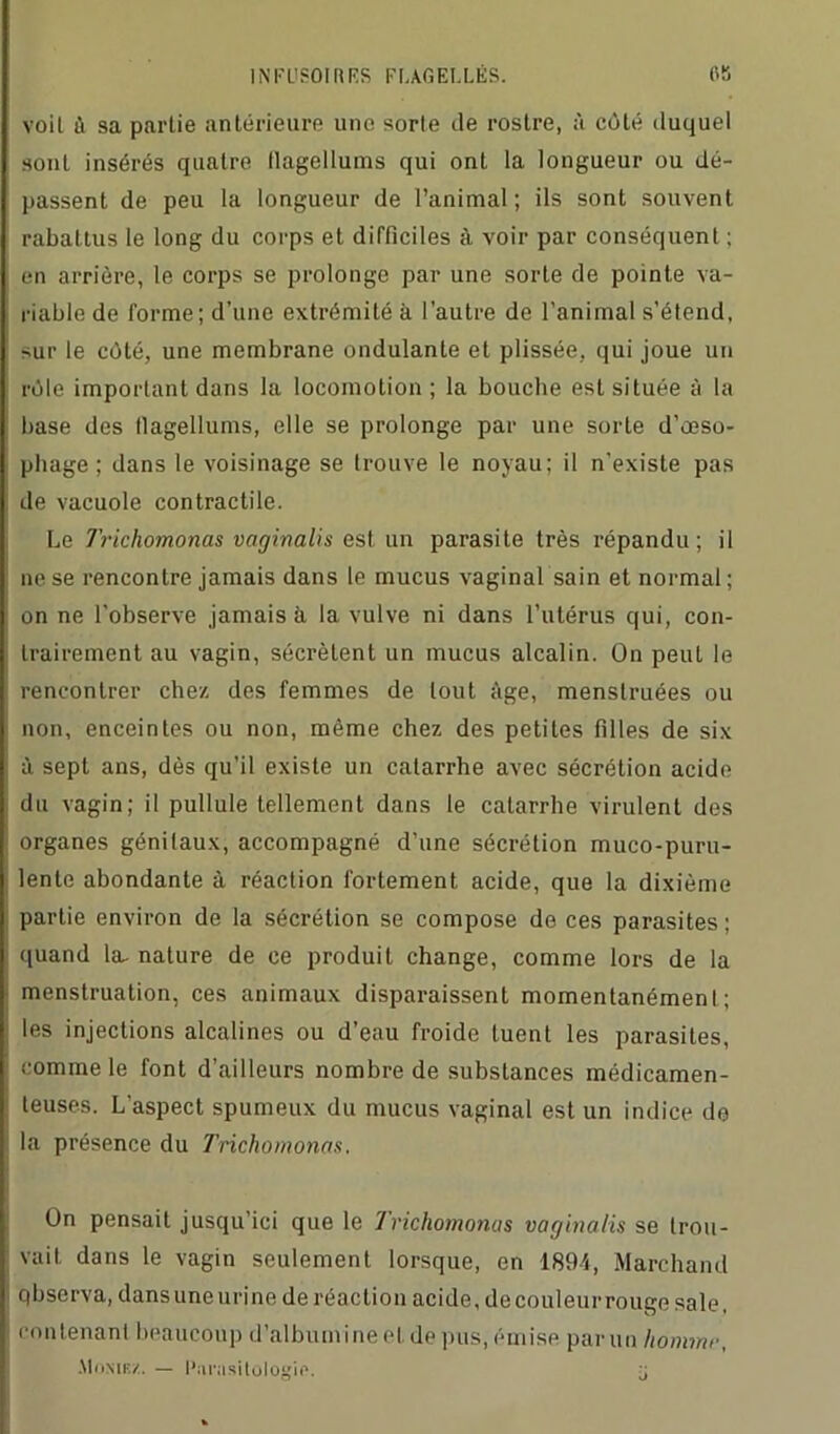 voit à sa partie antérieure une sorte de rostre, à côté duquel sont insérés quatre llagellums qui ont la longueur ou dé- passent de peu la longueur de l’animal; ils sont souvent rabattus le long du corps et difficiles à voir par conséquent ; en arrière, le corps se prolonge par une sorte de pointe va- riable de forme; d’une extrémité à l’autre de l’animal s’étend, sur le côté, une membrane ondulante et plissée, qui joue un rôle important dans la locomotion ; la bouche est située à la base des llagellums, elle se prolonge par une sorte d’œso- phage ; dans le voisinage se trouve le noyau; il n’existe pas de vacuole contractile. Le Trichomonas vaginalis est un parasite très répandu; il ne se rencontre jamais dans le mucus vaginal sain et normal ; on ne l'observe jamais à la vulve ni dans l’utérus qui, con- trairement au vagin, sécrètent un mucus alcalin. On peut le rencontrer chez des femmes de tout âge, menstruées ou non, enceintes ou non, même chez des petites filles de six à sept ans, dès qu’il existe un catarrhe avec sécrétion acide du vagin; il pullule tellement dans le catarrhe virulent des organes génitaux, accompagné d’une sécrétion muco-puru- lente abondante à réaction fortement acide, que la dixième partie environ de la sécrétion se compose de ces parasites; quand la- nature de ce produit change, comme lors de la menstruation, ces animaux disparaissent momentanément; les injections alcalines ou d’eau froide tuent les parasites, comme le font d’ailleurs nombre de substances médicamen- teuses. L’aspect spumeux du mucus vaginal est un indice de la présence du Trichomonas. On pensait jusqu’ici que le Trichomonas vaginalis se trou- vait dans le vagin seulement lorsque, en 1894, Marchand qbserva, dans une urine de réaction acide, de couleur rouge sale, contenant beaucoup d’albumine et de pus, émise par un homme, .Munir/. — Parasitologie. j
