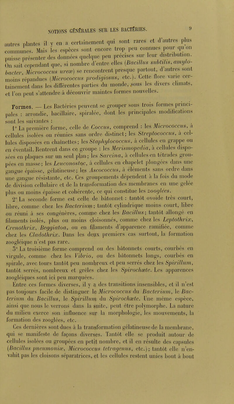 autres plantes il y en.a certainement qui sont rares et d'autres plus communes. Mais les espèces sont encore trop peu connues pour qu on puisse présenter des données quelque peu précises sur leur distrinution. On sait cependant que, si nombre d'entre elles (Bacillus subtihs, amylo- bacter Micrococcus urese) se rencontrent presque partout, d autres s moins répandues {Micrococcus prodigiosus, etc.). Cette flore varie cer- tainement dans les différentes parties du monde, ^ous les divers climats, et l'on peut s'attendre à découvrir maintes formes nouvelles. Formes. — Les Bactéries peuvent se grouper sous trois formes princi- pales : arrondie, bacillaire, spiralée, dont les principales modifications sont les suivantes : 1° La première forme, celle de Coccus, comprend : les Micrococcus, a cellules isolées ou réunies sans ordre distinct; les Streptococcus, a cel- lules disposées en chaînettes; lesStaplnjlococcus, à cellules en grappe ou m éventail. Rentrent dans ce groupe : les Merismopedia, à cellules dispo- sées en plaques sur un seul plan; les Sarcina, à cellules en tétrades grou- pées en masse; les Leuconostoc, à cellules en chapelet plongées dans une gangue épaisse, gélatineuse; les Ascococcus, à éléments sans ordre dans une^gangue résistante, etc. Ces groupements dépendent à la fois du mode de division cellulaire et de la transformation des membranes en une gelée plus ou moins épaisse et cohérente, ce qui constitue les zoocjlées. T La seconde forme est celle de bâtonnet : tantôt ovoïde très court, libre, comme chez les Bacterium; tantôt cylindrique moins court, libre ou réuni à ses congénères, comme chez les Bacillus; tantôt allongé en filaments isolés, plus ou moins cloisonnés, comme chez les Leptolhrix, Crenothrix, Beggiatoa, ou en filaments d'apparence ramifiée, comme chez les Cladothrix. Dans les deux premiers cas surtout, la formation zoogléique n'est pas rare. 5° La troisième forme comprend ou des bcàtonncts courts, courbés en virgule, comme chez les Vibrio, ou des bâtonnets longs, courbés en spirale, avec tours tantôt peu nombreux et peu serrés chez les Spirillum, tantôt serrés, nombreux et grêles chez les Spirochœte. Les apparences zoogléiques sont ici peu marquées. Entre ces formes diverses, il y a des transitions insensibles, et il D'est pas toujours facile de distinguer le Micrococcus du Bacterium, le Bac- terium du Bacillus, le Spirillum du Spirochœte. Une même espèce, ainsi que nous le verrons dans la suite, peut être polymorphe. La nature du milieu exerce son influence sur la morphologie, les mouvements, la formation des zooglées, etc. Ces dernières sontdues à la transformation gélatincusede la membrane, qui se manifeste de façons diverses. Tantôt elle se produit autour de cellules isolées ou groupées en petit nombre, et il en résulte des capsules {Bacillus pneumonise, Micrococcus tetragenus, etc.); tantôt elle n'en- vahit pas les cloisons séparatrices, et les cellules restent unies bout à bout