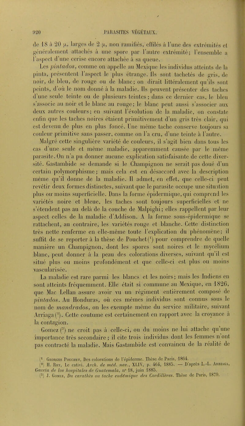 de 18 à 20 [j., larges de 2 [>., non ramifiés, effilés à l'une des extrémités ei généralement attachés à une spore par l'autre extrémité; l'ensemble ;i l'aspect d'une cerise encore attachée à sa queue. Les i>inla<los, connue on appelle an Mexique les individus atteints de la pinta, présentent l'aspect le plus étrange. Ils sont tachetés de gris, de noir, de bien, de rouge on de blanc; on dirait littéralement qu'ils sont peints, d'où le nom donné à la maladie. Ils peuvent présenter des taches d'une seule teinte ou de plusieurs teintes ; dans ce dernier cas, le bleu s'associe au noir et le blanc au rouge; le blanc peut aussi s'associer aux deux antres couleurs; en suivant l'évolution de la.maladie, on constate enfin que les taches noires étaient primitivement d'un gris très clair, qui est devenu de plus en plus foncé. Une même tache conserve toujours sa couleur primitive sans passer, comme on l'a cru, d'une teinte à l'autre. Malgré cette singulière variété de couleurs, il s'agit bien dans tous les cas d'une seule et même maladie, apparemment causée par le même parasite. On n'a pu donner aucune explication satisfaisante de cette diver- sité. Gastambide se demande si le Champignon ne serait pas doué d'un certain polymorphisme ; mais cela est en désaccord avec la description même qu'il donne de la maladie. 11 admet, en effet, que celle-ci peut revêtir deux formes distinctes, suivant que le parasite occupe une situation plus oir moins superficielle. Dans la forme épidermique,qui comprend les variétés noire et bleue, les taches sont toujours superficielles et ne s'étendent pas au delà de la couche de Malpighi ; elles rappellent par leur aspect celles de la maladie d'Addison. A la forme sous-épidermique se rattachent, au contraire, les variétés rouge et blanche. Cette distinction très nette renferme en elle-même toute l'explication du phénomène; il suffit de se reporter à la thèse de Pouchet(') pour comprendre de quelle manière un Champignon, dont les spores sont noires et le mycélium blanc, peut donner à la peau des colorations diverses, suivant qu'il est situé plus ou moins profondément et que celle-ci est plus ou moins vascularisée. La maladie est rare parmi les blancs et les noirs ; mais les Indiens en sont atteints fréquemment. Elle était si commune au Mexique, en 1826, que Mac Lellan assure avoir vu un régiment entièrement composé de pintados. Au Honduras, où ces mêmes individus sont connus sous le nom de mandrados, on les exempte même du service militaire, suivant Arriaga(2). Cette coutume est certainement en rapport avec la croyance à la contagion. Gomez (*) ne croit pas à celle-ci, ou du moins ne lui attache qu'une importance très secondaire ; il cite trois individus dont les femmes n'ont pas contracté la maladie. Mais Gastambide est convaincu de la réalité de (' Geoiiges Pouchet, Des colorations de l'épiderme. Thèse de Paris, 1864. (*) II. Ili v, Le ralivi. Arch. de méd. mv., XLIV, p. 464, 1885. — D'après L.-L. Amu.uu. Gacela de los hospitales de Guatemala, n° 18, juin 1885. (r') .1. Gomez, Du carathès ou lâche endémique des Cordillères. Thèse de Paris, 1870.