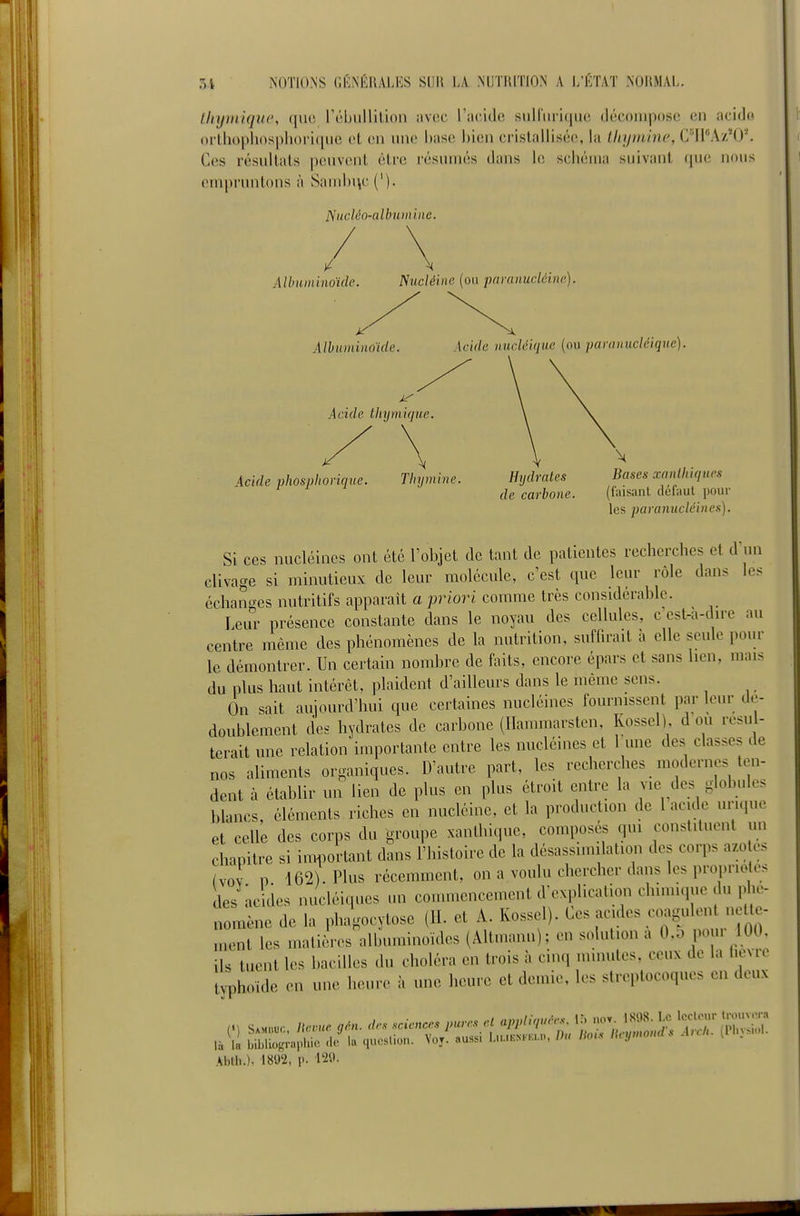 Iliijniiquc, ([110 rébiillilion avec l'acido siiiriiii(|ii(! ilécoinposc en acido ortliopliosphoi iqiic et en une hase ])ien cristallisée, la lliyiuine, CU'Az^O. Ces résultats |)(!uvent être résumés dans le schéma suivant que nous empruntons à Samhnc ('). ISiicléo-albuiiiine. Albuininoïde. Nucléine (ou pamnucléinc). Albumino'icle. Acide tliymique. Acide nucléique (oti panniucléiquc). Acide phosplioriqiie. Thymine. Hydrates de carbone. Bases xanlhiques (faisant défaut poul- ies paranucléines). Si ces nucléines ont été l'objet de tant de patientes recherches et d un clivage si minutieux de leur molécule, c'est que leur rôle dans les échanges nutritifs apparaît a priori comme très considérable. Leur présence constante dans le noyau des cellules, c est-a-dn-e au centre même des phénomènes de la nutrition, suffirait à elle seule pour le démontrer. Un certain nombre de faits, encore épars et sans lien, mais du plus haut intérêt, plaident d'ailleurs dans le même sens. On sait aujourd'hui que certaines nucléines fournissent par leur de- doublement des hydrates de carbone (llammarsten, Kossel), d ou résul- terait une relation importante entre les nucléines et l une des classes de nos aliments organiques. D'autre part, les recherches modernes ten- dent à établir un lien de plus en plus étroit entre la vie des globules blancs, éléments riches en nucléine, et la production de l acide urique et celle des corps du groupe xanthique, composés qui constituent un chapitre si im^^ortant dans l'histoire de la désassimilation des corps azo es (vov P 162). Plus récemment, on a voulu chercher dans les propriétés des acides nucléiques un commencement d-explication chimuiue du plie- omène de la phagocytose (11. et A. Kossel). Ces acides coagulent net e- ncnt les matières albuminoïdes (Altmann); en solution a 0,D pour 100. ils tuent les bacilles du choléra en trois à cinq minutes, ceux de la licNre tvphoïde en une heure à une heure et demie, les streptocoques en deux Abth.), 1892, p. 129.