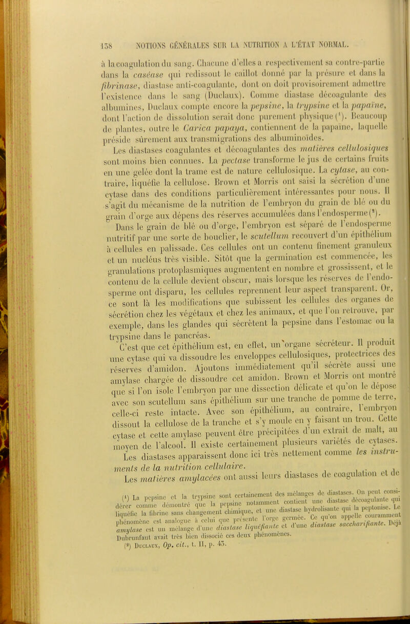 à la coagulation (lu sang. CIukuuk! dNîllcsa respectivement sa contre-partie dans la casëase ([ui redissout le caillot donné par la présure et dans la fihrmasc, diastase anti-coagulaiitcs dont on doit provisoirement admettre revisleuce dans le sang (l)uelaux). Comnu! diastase décoaguhmte des albumines, Duelaux compte (dicoie hi pepsine, la Irypsine (it la pupaïne, dont l'action de dissolution sci-ait donc purement physique ('). beaucoup de piaules, outre le Carica papaya, contiennent de la papaïne, laquelle préside sûrement aux transmigrations des all)uminoid(!s. Les diastases coagulantes et décoagulantes des iiialières cellulosiques sont moins bien connues. La pedase translorme le jus de certains Iruits en une gelée dont la trame est de nature cellulosique. La cylase, au con- traire, liquéiie la cellulose. Brown et Morris ont saisi la sécrétion d'une cytase dans des conditions particulièrement intéressantes pour nous. Il s'agit du mécanisme de la nutrition de l'embryon du grain de blé ou du o-rain d'orge aux dépens des réserves accumulées dans rendosperme(*). ^ Dans le grain de blé ou d'orge, l'embryon est séparé de l'cndospernu; nutritif par mie sorte de bouclier, le scutellum recouvert d'un épithélium h cellules en palissade. Ces cellules ont un contenu finement granuleux et un nucléus très visible. Sitôt que la germination est commencée, les oranulations proloplasmiques augmentent en nombre et grossissent^ et le contenu de la cellule devient obscur, mais lorsque les réserves de l'endo- sperme ont disparu, les cellules reprennent leur aspect transparent. Or, ce sont là les modifications que subissent les cellules des organes de sécrétion chez les végétaux et chez les animaux, et que l'on retrouve, par exemple, dans les glandes qui sécrètent la pepsine dans l'estomac ou la trvTDsine dans le pancréas. ni-. C'est que cet épithélium est, en eflet, un^organe sécréteur. Il produit une cytase qui va dissoudre les enveloppes cellulosiques, protectrices des réserves d'amidon. Ajoutons immédiatement qu'il sécrète aussi une amylase chargée de dissoudre cet amidon. Brown et Morris ont montre que si l'on isole l'embryon par une dissection délicate et qu on le dépose avec son scutellum sans épithélium sur une tranche de pomme de terre, celle-ci reste intacte. Avec son épithélium, au contrante, 1 embryon dissout la cellulose de la tranche et s'y moule en y faisant un trou. Celte cytase et cette amylase peuvent cire précipitées d'un extrait de mail, au moyen de l'alcool. Il existe certainement plusieurs variétés de cytases. Les diastases apparaissent donc ici très nettement comme les instru- ments de la nulrition cellulaii^e. Les matières amylacées ont aussi leurs diastases de coagulation et de (M La nensinc cl la Irypsine sont ccn-laincment des mélanges <lc cliaslases On pejU^^^^^^^^^^^^^ d6 ir oli: 56n,onl.. c^lc la pepsine nolammenl con.ie,.  J^^-^Jj^^S t liCuénc la fibrine sans changen.ent cln-uç^-e, ;H c.k.^ ^^/'^Z.c^ Duln-unlaul avail li'ès bien dissocié ces deux phénomènes.