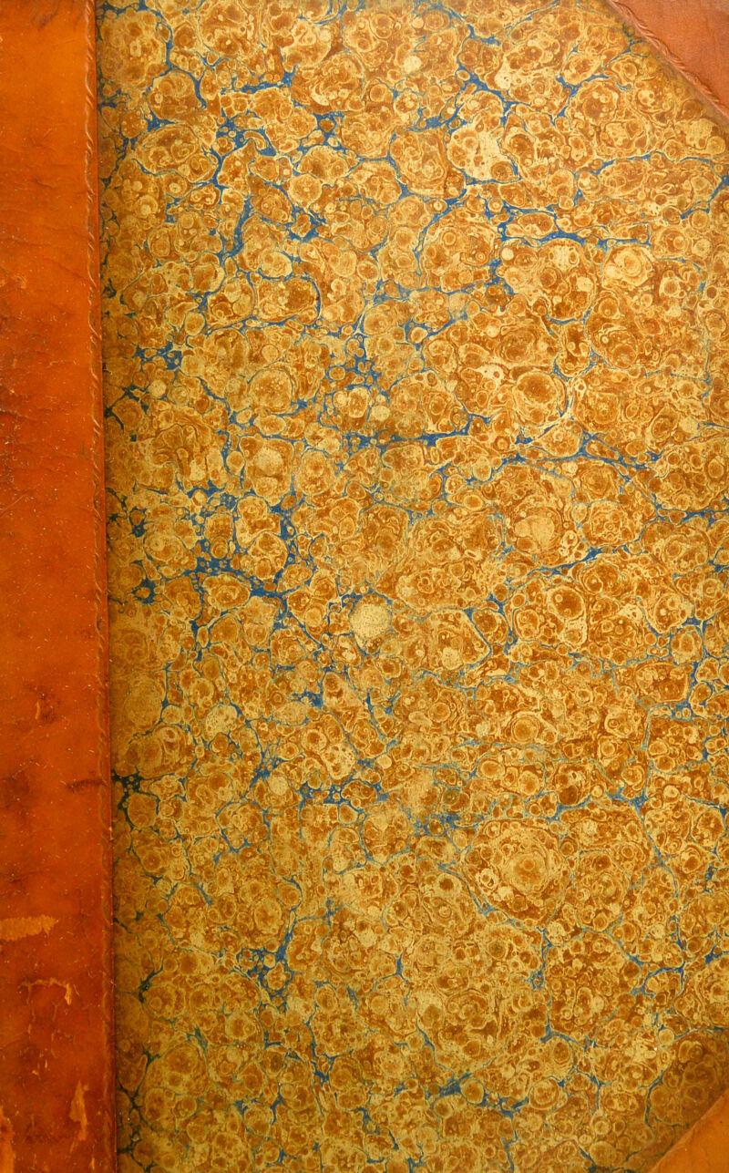 No text description is available for this image