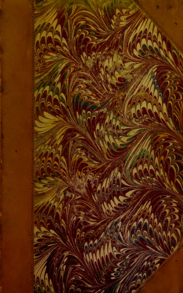 No text description is available for this image