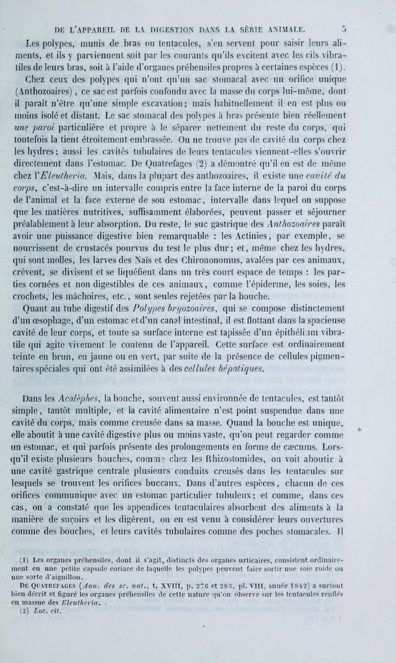 Les polypes, munis de bras ou tentacules, s’en servent pour saisir leurs ali- ments, et ils y parviennent s.oit par les courants qu’ils excitent avec les cils vibra- tiles de leurs bras, soit à l’aide d’organes préhensiles propres à certaines espèces (1). Chez ceux des polypes qui n’ont qu’un sac stomacal avec un orifice unique (Anthozoaires), ce sac est parfois confondu avec la masse du corps lui-même, dont il paraît n’être qu’une simple excavation; mais habituellement il en est plus ou moins isolé et distant. Le sac stomacal des polypes à bras présente bien réellement une paroi particulière et propre à le séparer nettement du reste du corps, qui toutefois la tient étroitement embrassée. On ne trouve pas de cavité du corps chez les hydres; aussi les cavités tubulaires de leurs tentacules viennent-elles s’ouvrir directement dans l’estomac. De Quatrefages (2) a démontré qu’il en est de même chez l’Eleutherici. Mais, dans la plupart des anthozoaires, il existe une cavité du corps, c’est-à-dire un intervalle compris entre la face interne de la paroi du corps de l’animal et la face externe de son estomac, intervalle dans lequel on suppose que les matières nutritives, suffisamment élaborées, peuvent passer et séjourner préalablement à leur absorption. Du reste, le suc gastrique des Anthozoaires paraît avoir une puissance digestive bien remarquable : les Actinies, par exemple, se nourrissent de crustacés pourvus du test le plus dur; et, même chez les hydres, qui sont molles, les larves des Nais et des Chirononomus, avalées par ces animaux, crèvent, se divisent et se liquéfient dans un très court espace de temps : les par- ties cornées et non digestibles de ces animaux, comme l’épiderme, les soies, les crochets, les mâchoires, etc., sont seules rejetées par la bouche. Quant au tube digestif des Polypes bryozoaires, qui se compose distinctement d’un œsophage, d’un estomac et d’un canal intestinal, il est flottant dans la spacieuse cavité de leur corps, et toute sa surface interne est tapissée d’un épithélium vibra- tile qui agite vivement le contenu de l’appareil. Cette surface est ordinairement teinte en brun, en jaune ou en vert, par suite de la présence de cellules pigmen- taires spéciales qui ont été assimilées à des cellules hépatiques. Dans les Acalèphes, la bouche, souvent aussi environnée de tentacules, est tantôt simple, tantôt multiple, et la cavité alimentaire n’est point suspendue dans une cavité du corps, mais comme creusée dans sa masse. Quand la bouche est unique, elle aboutit à une cavité digestive plus ou moins vaste, qu’on peut regarder comme un estomac, et qui parfois présente des prolongements en forme de cæcums. Lors- qu’il existe plusieurs bouches, comme chez les Ilhizostomides, on voit aboutir à une cavité gastrique centrale plusieurs conduits creusés dans les tentacules sur lesquels se trouvent les orifices buccaux. Dans d’autres espèces, chacun de ces orifices communique avec un estomac particulier tubuleux; et comme, dans ces cas, on a constaté que les appendices tentaculaires absorbent des aliments à la manière de suçoirs et les digèrent, on en est venu à considérer leurs ouvertures comme des bouches, et leurs cavités tubulaires comme des poches stomacales. Il (1) Les organes préhensiles, dont il s’agit, distincts des organes urticaires, consistent ordinaire- ment en une petite capsule coriace de laquelle les polypes peuvent faire sortir une soie roide ou une sorte d’aiguillon. De Quatrefages [Ann. des sc. nat., t. XVIII, p. 27G et 283, pl.VIIl, année 1842) a surtout bien décrit et figuré les organes préhensiles de cette nature qu’on observe sur les tentacules renflés en massue des Eleutlicrio. (2) Loc. cit.