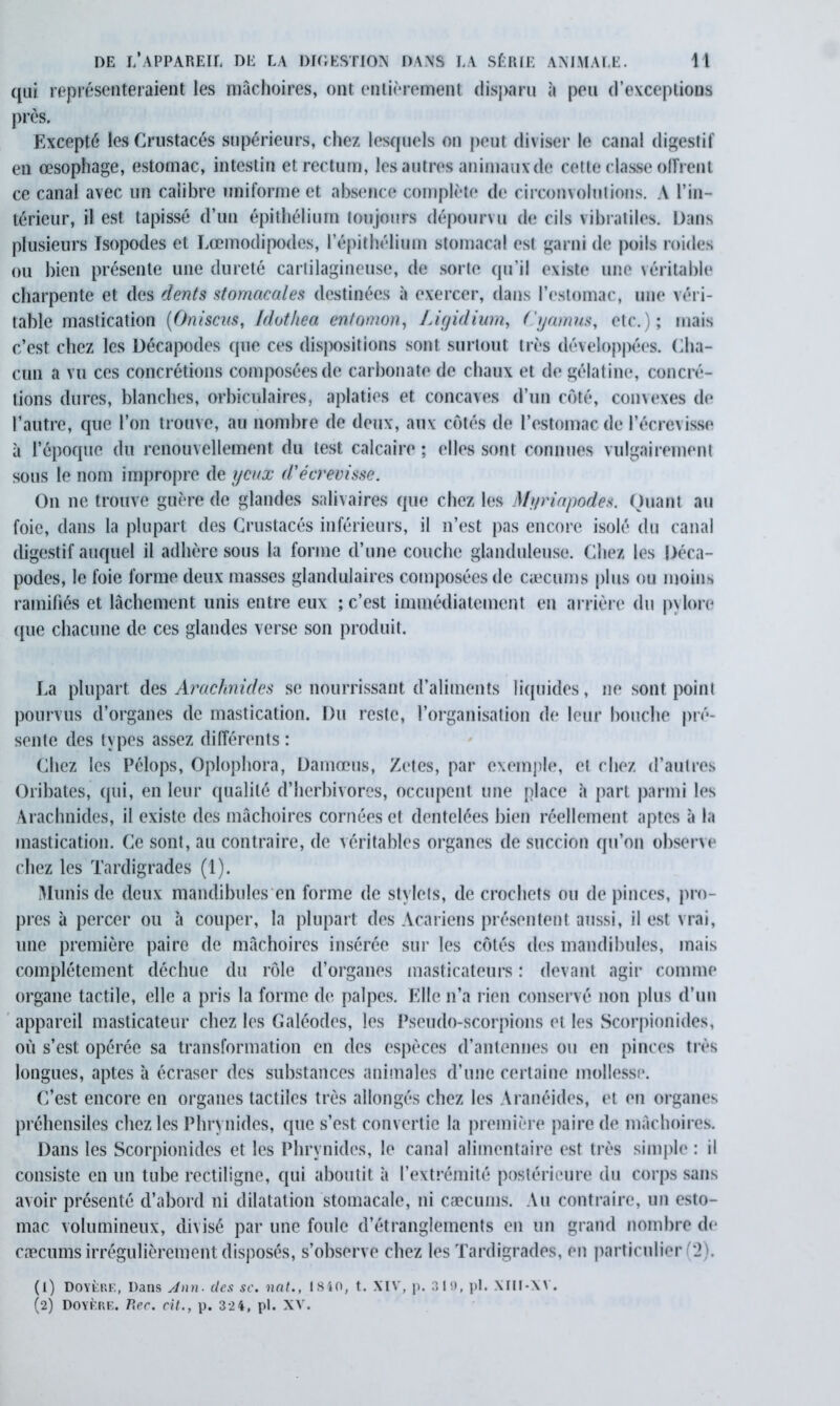 qui représenteraient les mâchoires, ont entièrement disparu à peu d’exceptions près. Excepté les Crustacés supérieurs, chez lesquels on peut diviser le canal digestif en œsophage, estomac, intestin et rectum, les autres animauxde cette classe offrent ce canal avec un calibre uniforme et absence complète de circonvolutions. A l’in- térieur, il est tapissé d’un épithélium toujours dépourvu de cils vibratiles. Dans plusieurs Isopodes et Lœmodipodes, l’épithélium stomacal est garni de poils roides ou bien présente une dureté cartilagineuse, de sorte qu’il existe une véritable charpente et des dents stomacales destinées à exercer, dans l’estomac, une véri- table mastication (Oniscns, Iduthea entomon, fAgidium, ('yamus, etc.); mais c’est chez les Décapodes cpie ces dispositions sont surtout très développées. Cha- cun a vu ces concrétions composées de carbonate de chaux et de gélatine, concré- tions dures, blanches, orbiculaires, aplaties et concaves d’un côté, convexes de l’autre, que l’on trouve, au nombre de deux, aux côtés de l’estomac de l’écrevisse à l’époque du renouvellement du test calcaire ; elles sont connues vulgairement sous le nom impropre de yeux d'écrevisse. On ne trouve guère de glandes salivaires que chez les Myriapodes. Quant au foie, dans la plupart des Crustacés inférieurs, il n’est pas encore isolé du canal digestif auquel il adhère sous la forme d’une couche glanduleuse. Chez les Déca- podes, le foie forme deux masses glandulaires composées de cæcums plus ou moins ramifiés et lâchement unis entre eux ; c’est immédiatement en arrière du pylore que chacune de ces glandes verse son produit. La plupart des Arachnides se nourrissant d’aliments liquides, ne sont point pourvus d’organes de mastication. Du reste, l’organisation de leur bouche pré- sente des types assez différents : Chez les Pélops, Oplophora, Damœus, Zetes, par exemple, et chez d’autres Oribates, qui, en leur qualité d’herbivores, occupent une place h part parmi les Arachnides, il existe des mâchoires cornées et dentelées bien réellement aptes à la mastication. Ce sont, au contraire, de véritables organes de succion qu’on observe chez les Tardigrades (1). Munis de deux mandibules en forme de stylets, de crochets ou de pinces, pro- pres à percer ou à couper, la plupart des Acariens présentent aussi, il est vrai, une première paire de mâchoires insérée sur les côtés des mandibules, mais complètement déchue du rôle d’organes masticateurs : devant agir comme organe tactile, elle a pris la forme de palpes. Elle n’a rien conservé non plus d’un appareil masticateur chez les Galéodes, les Pseudo-scorpions et les Scorpionides, où s’est opérée sa transformation en des espèces d’antennes ou en pinces très longues, aptes à écraser des substances animales d’une certaine mollesse. C’est encore en organes tactiles très allongés chez les Aranéides, et en organes préhensiles chez les Phrynides, que s’est convertie la première paire de mâchoires. Dans les Scorpionides et les Phrynides, le canal alimentaire est très simple : il consiste en un tube rectiligne, qui aboutit à l’extrémité postérieure du corps sans avoir présenté d’abord ni dilatation stomacale, ni cæcums. Au contraire, un esto- mac volumineux, divisé par une foule d’étranglements en un grand nombre de cæcums irrégulièrement disposés, s’observe chez les Tardigrades, en particulier (2). (1) Doyère, Dans Ann- des sc. nnt., 1840, t. XIV, p. 319, pl. XIII-XV. (2) Doyf.re. Rec. cit., p. 32 4, pl. XV.