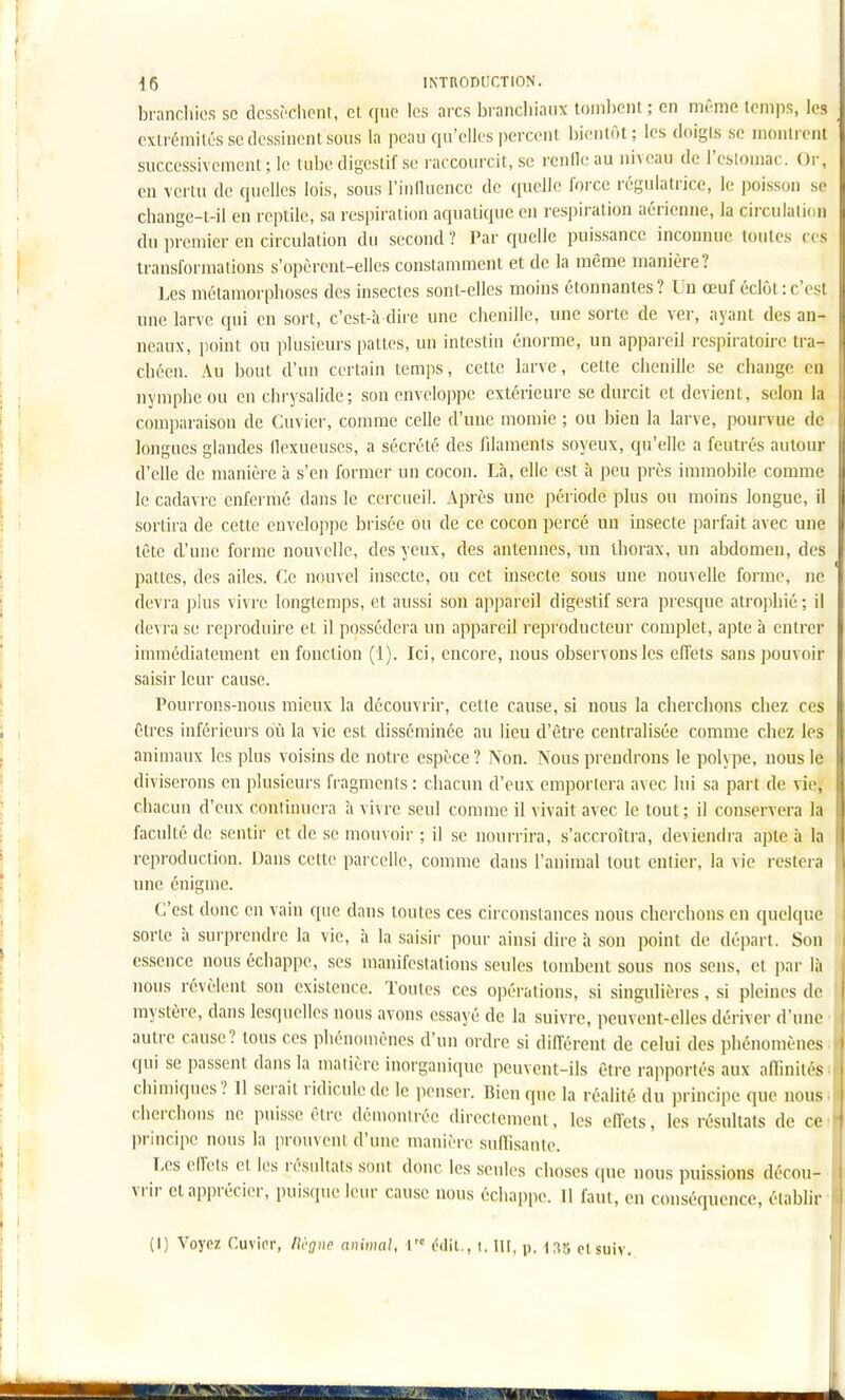branchies se dcssèclicnt, et qno les arcs brancliiaux tombent ; en même temps, les exlrémiléssedossinonlsous la peau qu'elles percenl bientôt; les doigis se montrent successivement ; le tube digestif se raccourcit, se renfle au niveau de l'eslomac. Or, en venu de quelles lois, sous l'inlluencc de quelle force régulatrice, le poisson se change-t-il en reptile, sa respiration aquatique en respiration aérienne, la circulation du premier en circulation du second ? Par quelle puissance inconiuie toutes ces transformations s'opèrent-ellcs constamment et de la même manière? Les métamorphoses des insectes sont-elles moins étonnantes? Un œuf éclôt:c'est une larve qui en sort, c'est-à dire une chenille, une sorte de ver, ayant des an- neaux, point ou plusieurs pattes, un intestin énorme, un appareil respiratoire tra- chéen. Au bout d'un certain temps, cette larve, cette chenille se change eu nymphe ou en chrysalide; son enveloppe extérieure se durcit et devient, selon l;i comparaison de Cuvier, comme celle d'une momie ; ou bien la larve, pourvue de longues glandes ilexueuses, a sécrété des filaments soyeux, qu'elle a feutrés autoui d'elle de manière à s'en former un cocon. Là, elle est à peu près immobile comme le cadavre enfermé dans le cercueil. x\près une période plus ou moins longue, il sortira de cette envelop])c brisée ou de ce cocon percé un insecte parfait avec une tête d'une forme nouvelle, des yeux, des antennes, un thorax, un abdomen, des pattes, des ailes. Ce nouvel insecte, ou cet insecte sous une nouvelle forme, ne devra plus vivre longtemps, et aussi son appareil digestif sera presque atrophié ; il devra se reproduire et il possédera un appareil reproducteur complet, apte à entrer immédiatement en fonction (1). Ici, encore, nous observons les effets sans pouvoir saisir leur cause. Pourrons-nous mieux la découvrir, cette cause, si nous la cherchons chez ces êtres inférieurs où la vie est disséminée au lieu d'être centralisée comme chez les animaux les plus voisins de notre espèce ? Non. Nous prendrons le polype, nous le diviserons en plusieurs fragments : chacun d'eux emportera avec lui sa part de vie, chacun d'eux continuera à vivre seul comme il vivait avec le tout; il conservera la faculté de sentir et de se mouvoir ; il se nourrira, s'accroîtra, deviendra apte à la | reproduction. Dans cette parcelle, comme dans l'animal tout entier, la vie restera une énigme. C'est donc en vain que dans toutes ces circonstances nous cherchons en quelque sorte à surprendre la vie, à la saisir pour ainsi dire à son point de départ. Son essence nous échappe, ses manifestations seules tombent sous nos sens, et par là nous révèlent son existence. Toutes ces opérations, si singulières, si pleines de mystère, dans lesquelles nous avons essayé de la suivre, peuvent-elles dériver d'une autre cause? tous ces phénomènes d'un ordre si différent de celui des phénomènes qui se passent dans la matière inorganique peuvent-ils être rapportés aux affmités chimiques? 11 serait ridicule de le penser. Bien que la réalité du principe que nous cherchons ne puisse être déuionirée direcicment, les effets les résultats de ce r principe nous la prouvent d'une manière sullisante. Les effets et les résultats sont donc les seules choses que nous puissions décou- vrir et apprécier, puisque leur cause nous échappe. Il faut, en conséquence, établir (I) Voyez Cuvior, licgnc animal, \ ôdil., t. lU, p, t:î5 ctsuiv.