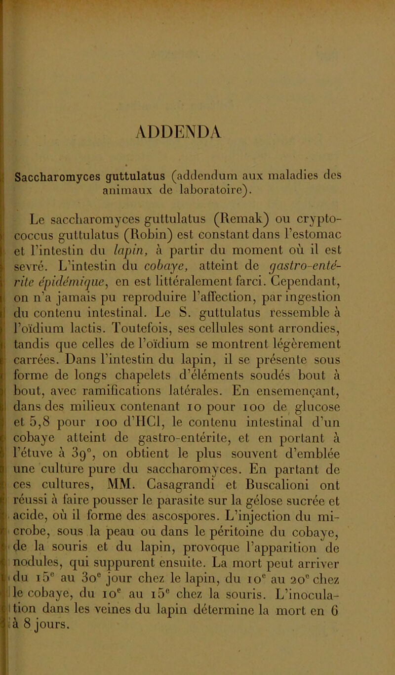 ADDENDA Saccharomyces guttulatus (addendum aux maladies des animaux de laboratoire). Le saccharomyces guttulatus (Remak) ou crypto- coccus guttulatus (Robin) est constant dans l’estomac ■ et l’intestin du lapin, à partir du moment où il est sevré. L’intestin du cobaye, atteint de gastro-enté- rite épidémique, en est littéralement farci. Cependant, on n’a jamais pu reproduire l’affection, par ingestion du contenu intestinal. Le S. guttulatus ressemble à l’oïdium lactis. Toutefois, ses cellules sont arrondies, tandis que celles de l’oïdium se montrent légèrement : carrées. Dans l'intestin du lapin, il se présente sous ; forme de longs chapelets d’éléments soudés bout à | bout, avec ramifications latérales. En ensemençant, I dans des milieux contenant io pour 100 de glucose et 5,8 pour ioo d’IICl, le contenu intestinal d’un ■ cobaye atteint de gastro-entérite, et en portant à l’étuve à 39°, on obtient le plus souvent d’emblée une culture pure du saccharomyces. En partant de ■ ces cultures, MM. Casagrandi et Ruscalioni ont 1 réussi à faire pousser le parasite sur la gélose sucrée et acide, où il forme des ascospores. L’injection du mi- crobe, sous la peau ou dans le péritoine du cobaye, de la souris et du lapin, provoque l’apparition de nodules, qui suppurent ensuite. La mort peut arriver • du i5e au 3o° jour chez le lapin, du 10e au 20° chez le cobaye, du 10e au i5° chez la souris. L’inocula- ition dans les veines du lapin détermine la mort en G