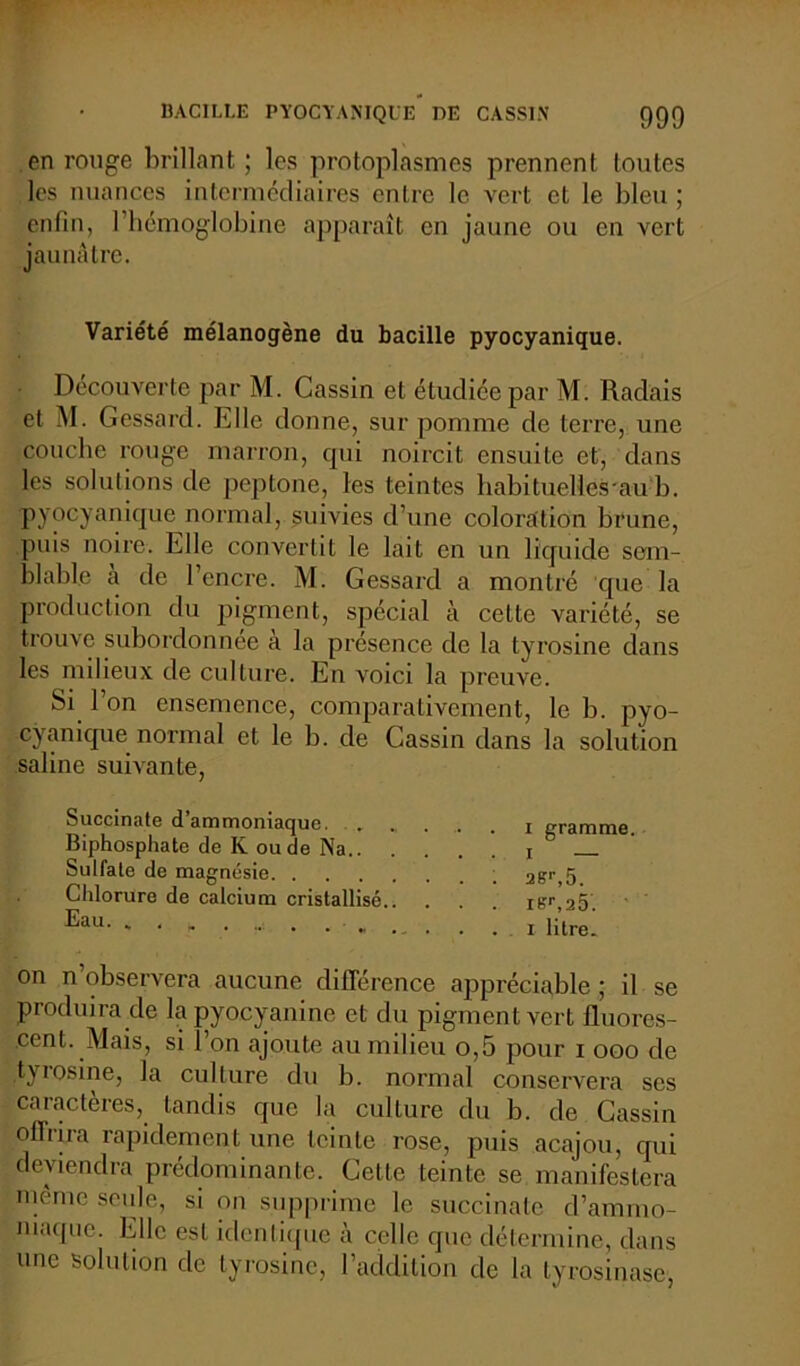 en rouge brillant ; les protoplasmes prennent toutes les nuances intermédiaires entre le vert et le bleu ; enfin, l’hcmoglobine apparaît en jaune ou en vert jaunâtre. Variété mélanogène du bacille pyocyanique. Découverte par M. Cassin et étudiée par M. Raclais et M. Gessard. Elle donne, sur pomme de terre, une couche rouge marron, qui noircit ensuite et, dans les solutions de peptone, les teintes habituelles'au b. pyocyanique normal, suivies d’une coloration brune, puis noire. Elle convertit le lait en un liquide sem- blable a de l’encre. M. Gessard a montré cjue la production du pigment, spécial à cette variété, se trouve subordonnée a la présence de la tyrosine dans les milieux de culture. En voici la preuve. Si l’on ensemence, comparativement, le b. pyo- cyanique normal et le b. de Cassin dans la solution saline suivante, Succinate d’ammoniaque. Biphosphate de K ou de Na.. . Sulfate de magnésie Chlorure de calcium cristallisé.. Eau. * . j. on n’observera aucune différence appréciable ; il se produira de la pyocyanine et du pigment vert fluores- cent. Mais, si l’on ajoute au milieu o,5 pour i ooo de tyrosine, la culture du b. normal conservera ses caractères, tandis que la culture du b. de Cassin offrira rapidement une teinte rose, puis acajou, qui deviendra prédominante. Celle teinte se manifestera meme seule, si on supprime le succinate d’ammo- maque. Elle est identique à celle que détermine, dans une solution de tyrosine, l’addition de la tyrosinase, ■*. ^ 1 Ulll IUW , I — 2Sr,5. Ibrr,2 5'. ’ I litre.