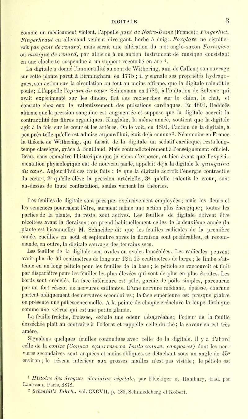 comme un médicament violent, l’appelle gant de Notre-Dame ( France); Fingerhut, Finr/erhraut en allemand veulent dire gant, herbe à doigt. Foxglove ne signifie- rait pas gant de renard, mais serait une altération du mot anglo-saxon Foxesglew ou musique de renard, par allusion à un ancien instrument de musique consistant en une clochette suspendue à un support recourbé en arc *. La digitale a donné l'immortalité au nom de Withering, ami de Cullen ; son ouvrage sur cette plante parut à Birmingham en 1775 ; il y signale ses propriétés hydrago- gues, son action sur la circulation ou tout au moins affirme, que la digitale ralentit le pouls; il l’appelle Y opium du cœur. Schiemann en 1786, à l’imitation de Solerne qui avait expérimenté sur les dindes, fait des recherches sur le chien, le chat, et constate chez eux le ralentissement des pulsations cardiaques. En 1801, Beddoës affirme que la pression sanguine est augmentée et suppose que la digitale accroît la contractilité des fibres organiques. Ivinglake, la même année, soutient que la digitale agit à la fois sur le cœur et les artères. On le voit, en 1801, l’action de la digitale, à peu près telle qu’elle est admise aujourd'hui, était déjà connue Néanmoins en France la théorie de Withering, qui faisait de la digitale un sédatif cardiaque, resta long- temps classique, grâce à Bouillaud. Mais contradictoirement à l'enseignement officiel. Beau, sans connaître l’historique que je viens d’exposer, et bien avant que l’expéri- mentation physiologique eût de nouveau parlé, appelait déjà la digitale le quinquina du cœur. Aujourd’hui ces trois faits : 1° que la digitale accroît l’énergie contractile du cœur ; 2° qu’elle élève la pression artérielle; 3° qu’elle ralentit le cœur, sont au-dessus de toute contestation, seules varient les théories. Les feuilles de digitale sont presque exclusivement employées; mais les fleurs et les semences pourraient l’être, auraient même une action plus énergique; toutes les parties de la plante, du reste, sont actives. Les feuilles de digitale doivent être récoltées avant la floraison; on prend habituellement celles de la deuxième année (la plante est bisannuelle) M. Schneider dit que les feuilles radicales de la première année, cueillies en août et septembre après la floraison sont préférables, et recom- mande, en outre, la digitale sauvage des terrains secs. Les feuilles de la digitale sont ovales ou ovales lancéolées. Les radicales peuvent avoir plus de 40 centimètres de long sur 12 à 15 centimètres de large; le limbe s'at- ténue en un long pétiole pour les feuilles de la base ; le pétiole se raccourcit et finit par disparaître pour les feuilles les plus élevées qui sont de plus en plus étroites. Les bords sont crénelés. La face inférieure est pâle, garnie de poils simples, parcourue par un fort réseau de nervures saillantes. D'une nervure médiane, épaisse, charnue partent obliquement des nervures secondaires; la face supérieure est presque glabre ou présente une pubescence molle. A la pointe de chaque crénelure la loupe distingue comme une verrue qui est une petite glande. La feuille fraîche, froissée, exhale une odeur désagréable; l’odeur de la feuille desséchée plaît au contraire à l’odorat et rappelle celle du thé ; la saveur en est très amère. Signalons quelques feuilles confondues avec celle de la digitale. Il y a d’abord celle de la conize (Conyza squarrosa ou Initia conyze, composées) dont les ner- vures secondaires sont arquées et moins obliques, se détachant sous un angle de 45° environ ; le réseau intérieur aux grosses mailles n’est pas visible ; le pétiole est 1 Histoire des drogues d'origine végétale, par Flückiger et Hambury, trad. par Lanessan, Paris, 1873. 2 Sehmidt's Ialirb., vol. GXGVII, p. 185, Schmiedeberg et Kobert.