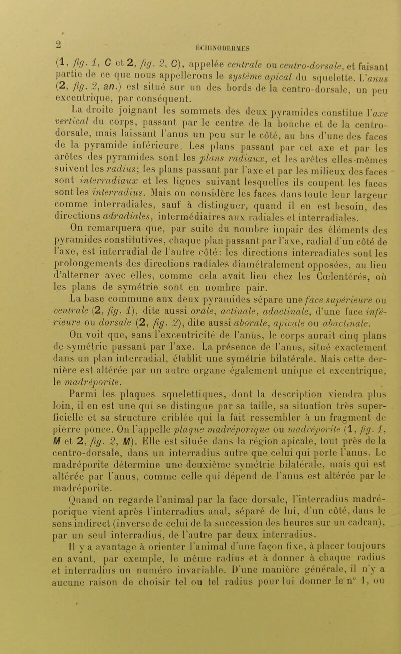 ÉClllAODEHMES (1, fig. 1, C et 2, fig. 2, C), appelée centrale ou cenlro-dorsale, et faisant partie de ce que nous appellerons le système apical du squelette. L'anus (2, lig. .2, an.) est situé sur un des bords de la centro-dorsale, un peu excentrique, par conséquent. La droite joignant les sommets des deux pyramides constitue Vaxe vertical du corps, passant par le centre de la bouche et de la centro- dorsale, mais laissant Tanus un peu sur le côté, au bas d'une des faces de la pyramide inférieure. Les plans passant par cet axe et par les arêtes des pyramides sont les plans radiaux, et les arêtes elles-mêmes suivent les radius; les plans passant par l'axe et par les milieux des faces sont interradiaux et les lignes suivant lesquelles ils coupent les faces sont les interradius. Mais on considère les faces dans toute leur largeur comme interradiales, sauf à distinguer, quand il en est besoin, des directions adradiales, intermédiaires aux radiales et interradiales. On remarquera que, par suite du nombre impair des éléments des pyramides constitutives, chaque plan passant par l'axe, radial d'un côté de l'axe, est interradial de l'autre côté: les directions interradiales sont les prolongements des directions radiales diamétralement opposées, au lieu d'alterner avec elles, comme cela avait lieu chez les Cœlentérés, où les plans de symétrie sont en nombre pair. La base commune aux deux pyramides sépare une face supérieure ou ventrale (2, fig. 1), dite aussi orale, actinale, adactinale, d'une face infé- rieure ou dorsale (2, fig. 2), dite aussi aborale, apicale ou abaciinale. On voit que, sans l'excentricité de l'anus, le corps aurait cinq plans de symétrie passant par l'axe. La présence de l'anus, situé exactement dans un plan interradial, établit une symétrie bilatérale. Mais cette der- nière est altérée par un autre organe également unique et excentrique, le madréporile. Parmi les plaques squelettiques, dont la description viendra plus loin, il en est une qui se distingue par sa taille, sa situation très super- ficielle et sa structure criblée qui la fait ressembler à un fragment de pierre ponce. On l'appellemadréporique ou madréporile (1, jig. î, M et 2, fig. 5, M). Elle est située dans la région apicale, tout près de la centro-dorsale, dans un interradius autre que celui qui porte l'anus. Le madréporile détermine une deuxième symétrie bilatérale, mais qui est altérée par l'anus, comme celle qui dépend de l'anus est altérée par le madréporite. Quand on regarde l'animal par la face dorsale, l'intcrradius madré- porique vient après l'intcrradius anal, séparé de lui, d'un côté, dans le sens indirect (inverse de celui de la succession des heures sur un cadran), par un seul interradius, de l'autre par deux interradius. Il y a avantage à orienter l'animal d'une façon fixe, à placer toujours en avant, par exemple, le même radius et à donner à chaque radius et interradius un numéro invariable. D'une manière générale, il n'y a