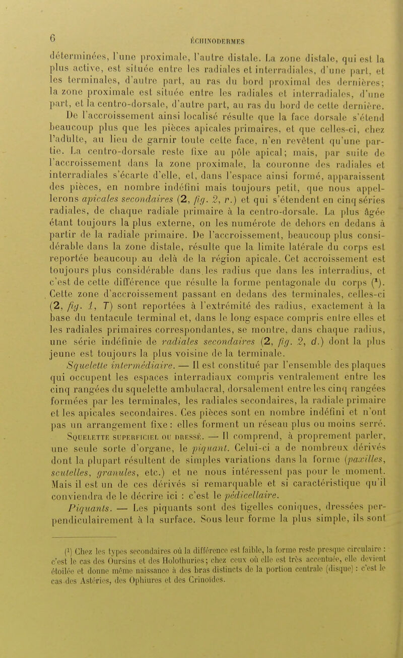 KniINODF.nMES dc'len ni liées, l'une proximnlc, Taiilrc dislalo. I>a zone dislalo, qui est la plus active, est située entre les radiales et interradiaUïs, d'une part, et les terminales, d'autre part, au ras du bord proximal des dernières; la zone proximale est située entre les radiales et interradiales, d'une part, et la centro-dorsale, d'autre part, au ras du bord de cette dernière. De l'accroissement ainsi localisé résulte que la face dorsale s'étend beaucoup plus que les pièces apicales primaires, et que celles-ci, (diez l'adulte, au lieu de garnir toute cette face, n'en revêtent qu'une par- tie. La centro-dorsale reste fixe au pôle apical; mais, par suite de l'accroissement dans la zone proximale, la couronne des radiales et interradiales s'écarte d'elle, et, dans l'espace ainsi formé, apparaissent des pièces, en nombre indéfini mais toujours petit, que nous appel- lerons apicales secondaires (2, l'ig. 5, p.) et qui s'étendent en cinq séries radiales, de cliaque radiale primaire à la centro-dorsale. La ])lus âgée étant toujours la plus externe, on les numérote de dehors en dedans à partir de la radiale primaire. De l'accroissement, beaucoup plus consi- dérable dans la zone distale, résulte que la limite latérale du corps est reportée beaucoup au delà de la région apicale. Cet accroissement est toujours plus considérable dans.les radius que dans les interradius, et c'est de cette différence que résulte la forme pentagonale du corps Cette zone d'accroissement passant en dedans des terminales, celles-ci {2, fiy. 1, T) sont reportées à l'extrémité des radius, exactement à la base du tentacule terminal et, dans le long' espace compris entre elles et les radiales primaires correspondantes, se montre, dans chaque radins, une série indéfinie de radiales secondaires (2, pg. 5, d.) dont la i)lus jeune est toujours la plus voisine de la terminale. Squelette intermédiaire. — 11 est constitué par l'ensemble des plaques qui occupent les espaces interradiaux compris ventralement entre les cinq rangées du squelette ambulacral, dorsalement entre les cinq rangées formées par les terminales, les radiales secondaires, la radiale primaire et les apicales secondaires. Ces pièces sont en nombre indéfini et n'ont pas un arrangement fixe: elles forment un réseau plus ou moins serré. Squelette superficiel ou dressé. — Il comprend, à proprement parler, une seule sorte d'org-ane, le piquant. Celui-ci a de nombreux dérivés dont la plupart résultent de simples variations dans la forme [paxilles, scittelles, granules, etc.) et ne nous intéressent pas pour le moment. Mais il est un de ces dérivés si remar(|uable et si caractéristique <|u'il conviendra de le décrire ici : c'est le pêdicellaire. Piquants. — Les piquants sont des tig'elles coniques, dressées per- pendiculairement à la surface. Sous leur forme la plus simple, ils sont (1) Chez les types secondaires où la différence est faible, la forme reste presque circulaire : c'est le cas des Oursins et dos Mololluirios ; chez ceux où ollo est très acconluée, elle dovionl étoilée et donne môme naissance ii des bras distincts de la portion centrale (disque) : c'est le cas des Astéries, tics Ophiures et des Grinoïdes.