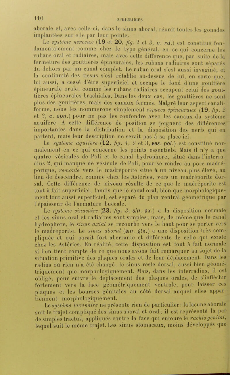 aborale el, avec celle-ci, dans le sinus aboral, réunit toutes les gonades implantées sur elle pai- leur pointe. Le système nerveux (19 et 20, fig. 2 et 3, n. rd.) est constitué fon- damentalement comme chez le type général, en ce (jui concerne les rul)ans oral et radiaires, mais avec cette différence que, par suite de la fermeture des gouttières épineurales, les rubans radiaires sont séparés du dehors par un canal complet. Le ruban oral s'est aussi invaginé, et la continuité des tissus s'est rétablie au-dessus de lui, en sorte que, lui aussi, a cessé d'être superficiel et occupe le fond d'une gouttière épineurale orale, comme les rubans radiaires occupent celui des gout- tières épineurales brachiales. Dans les deux cas, les gouttières ne sont plus des gouttières, mais des canaux fermés. Malgré leur aspect canali- t'orme, nous les nommerons simplement espaces épineuraux {19,/ig. 2 et 3, c. epn.) pour ne pas les confondre avec les canaux du système aquifère. A cette différence de position se joignent des didérences importantes dans la distribution et la disposition des nerfs qui en partent, mais leur description ne serait pas à sa place ici. Le sijstème aquifère (12, fig. 1, 2 et 3, ves. po/.) est constitué nor- malement en ce qui concerne les points essentiels. Mais il n'y a que quatre vésicules de Poli et le canal hydrophore, situé dans l'interra- dius 2, qui manque de vésicule de Poli, pour se rendre au pore madré- porique, remoyite vers le madréporite situé à un niveau plus élevé, au lieu de descendre, comme chez les Astéries, vers un madréporite dor- sal. Cette différence de niveau résulte de ce que le madréporite est tout à fait superficiel, tandis que le canal oral, bien que morphologique- ment tout aussi superficiel, est séparé du plan ventral géométrique par l'épaisseur de l'armature buccale. Le système sinusaire (23, fig. .3, sin. ax.) a la disposition normale et les sinus oral et radiaires sont simples; mais, de même que le canal hydrophore, le sinus axial se recourbe vers le haut pour se porter vers le madréporite. Le sirtus aboral [sin. ^tx.) a une disposition très com- pliquée et qui paraît fort aberrante et différente de celle qui existe chez les Astéries. En réalité, cette disposition est tout à fait normale si l'on tient compte de ce que nous avons fait remarquer au sujet de la situation primitive des plaques orales et de leur déplacement. Dans les radius oii rien n'a été changé, le sinus reste dorsal, aussi bien géomé- triquement que morphologiquement. Mais, dans les interradius, il est obligé, pour suivre le déplacement des pla(|ues orales, de s'infléchir fortement vers la face géométriquement ventrale, pour laisser ces plaques et les bourses génitales au côté dorsal auquel elles appar- tiennent morphologiquement. système lacunaire ne présente rien de particulier: la lacune aborale suit le trajet compliqué des sinus aboral et oral; il est représenté là par de simples tractus, appliqués contre la face qui entoure le rachisgémtal, lequel suit le même trajet. Les sinus stomacaux, moins développés que