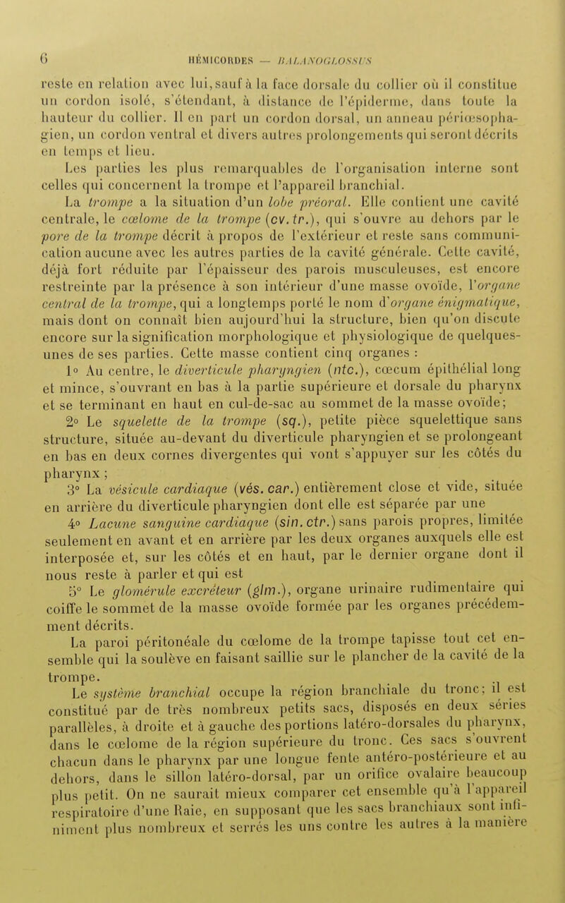 reste en relation avec lui, sauf à la face dorsale du collier où il constitue un cordon isolé, s'élendant, à distance de l'épiderme, dans toute la hauteur du collier. 11 en part un cordon dorsal, un anneau péri(j3soj)ha- gien, un cordon ventral et divers autres prolongements qui seront décrits en temps et lieu. Les parties les plus remarquables de l'organisation interne sont celles qui concernent la trompe et l'appareil branchial. La trompe a la situation d'un lobe fréoral. Elle contient une cavité centrale, le cœlome de la lro7npe {cv.tr.), qui s'ouvre au dehors par le joore de la troon'pe décrit à propos de l'extérieur et reste sans communi- cation aucune avec les autres parties de la cavité générale. Cette cavité, déjà fort réduite par l'épaisseur des parois musculeuses, est encore restreinte par la présence à son intérieur d'une masse ovoïde, Vorgane central de la trompe, qui a longtemps porté le nom ^''organe énigmatique, mais dont on connaît bien aujourd'hui la structure, bien qu'on discute encore sur la signification morphologique et physiologique de quelques- unes de ses parties. Cette masse contient cinq organes : 1° Au centre, le diverticule pharyngien {ntc), cœcum épithélial long et mince, s'ouvrant en bas à la partie supérieure et dorsale du pharynx et se terminant en haut en cul-de-sac au sommet de la masse ovoïde; 2° Le squelette de la trompe {sq.), petite pièce squelettique sans structure, située au-devant du diverticule pharyngien et se prolongeant en bas en deux cornes divergentes qui vont s'appuyer sur les côtés du pharynx ; 3° La vésicule cardiaque {vés. car.) entièrement close et vide, située en arrière du diverticule pharyngien dont elle est séparée par une 4 Lacune sanguine cardiaque (s/n. ctr.) sans parois propres, limitée seulement en avant et en arrière par les deux organes auxquels elle est interposée et, sur les côtés et en haut, par le dernier organe dont il nous reste à parler et qui est 5° Le glomérule excréteur (êlm.), organe urinaire rudimentaire qui coiffe le sommet de la masse ovoïde formée par les organes précédem- ment décrits. La paroi péritonéale du cœlome de la trompe tapisse tout cet en- semble qui la soulève en faisant saillie sur le plancher de la cavité de la trompe. Le système branchial occupe la région branchiale du tronc; il est constitué par de très nombreux petits sacs, disposés en deux séries parallèles, à droite et à gauche des portions latéro-dorsales du pharynx, dans le cœlome de la région supérieure du tronc. Ces sacs s'ouvrent chacun dans le pharynx par une longue fente antéro-postérieure et au dehors, dans le sillon latéro-dorsal, par un orifice ovalaire beaucoup plus petit. On ne saurait mieux comparer cet ensemble qu'à l'appareil respiratoire d'une Raie, en supposant que les sacs branchiaux sont infi- niment plus nombreux et serrés les uns contre les autres à la manière