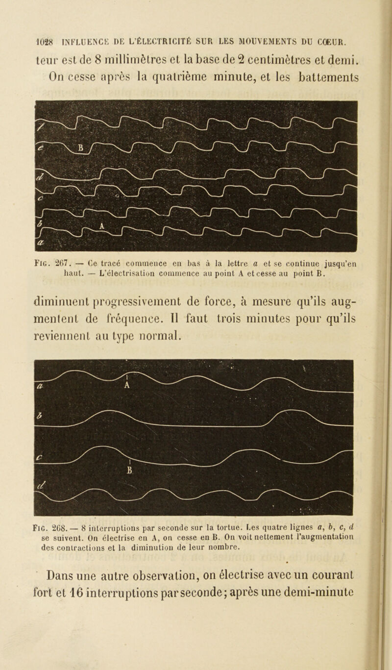 teur est de 8 millimètres et la base de 2 centimètres et demi. On cesse après la quatrième minute, et les battements Fig. 267. — Ce tracé commence en bas à la lettre a et se continue jusqu’en haut. — L’électrisation commence au point A et cesse au point B. diminuent progressivement de force, à mesure qu’ils aug- mentent de fréquence. Il faut trois minutes pour qu’ils reviennent au type normal. Fig. 268.— 8 interruptions par seconde sur la tortue. Les quatre lignes a, &, c, d se suivent. On électrise en A, on cesse en B, On voit nettement l’augmentation des contractions et la diminution de leur nombre. Dans une autre observation, on électrise avec un courant fort et 16 interruptions par seconde; après une demi-minute