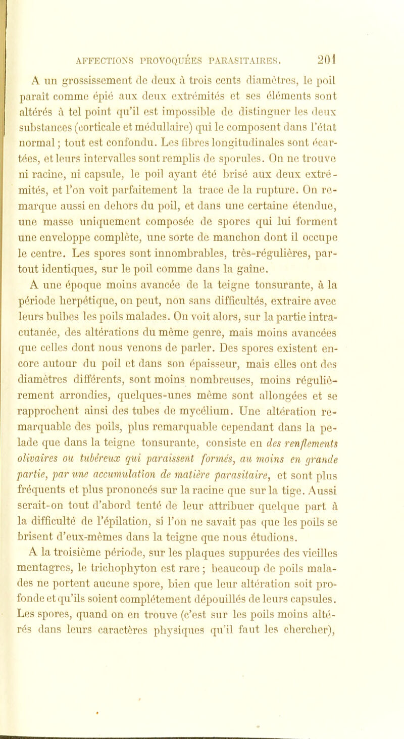 A un grossissement de deux à trois cents diamètres, le poil parait comme épié aux deux extrcîmités et ses éléments sont altérés à tel point qu'il est impossible de distinguer les deux substances (corticale et médullaire) cpii le composent dans l'état normal ; tout est confondu. Les fibres longitudinales sont écar- tées, et leurs intervalles sont remplis de sporules. On ne trouve ni racine, ni capsule, le poil ayant été. brisé aux deux cxtré - mités, et l'on voit parfaitement la trace de la rupture. On re- marque aussi en dehors du poil, et dans une certaine étendue, une masse uniquement composée de spores qui lui forment une enveloppe complète, une sorte de manchon dont il occupe le centre. Les spores sont innombraliles, très-régulières, par- tout identiques, sur le poil comme dans la gaine. A une époque moins avancée de la teigne tonsurante, à la période herpétique, on peut, non sans difficultés, extraire avec leurs bulbes les poils malades. On voit alors, sur la partie intra- cutanée, des altérations du même genre, mais moins avancées que celles dont nous venons de parler. Des spores existent en- core autour du poil et dans son épaisseur, mais elles ont des diamètres différents, sont moins nombreuses, moins réguHè- rement arrondies, quelques-unes même sont allongées et se rapprochent ainsi des tubes de mycélium. Une altération re- marquable des poils, plus remarquable cependant dans la pe- lade que dans la teigne tonsurante, consiste en des renflements olivaires ou tubéreux qui paraissent formés, au moins en grande -partie, par une accumulation de matière parasitaire, et sont plus fréquents et plus prononcés sur la racine que sur la tige. Aussi serait-on tout d'abord tenté de leur attribuer quelque part à la difficulté de l'épilation, si l'on ne savait pas que les poils se brisent d'eux-mêmes dans la teigne que nous étudions. A la troisième période, sur les plaques suppurées des vieilles mentagres, le trichophyton est rare ; beaucoup de poils mala- des ne portent aucune spore, bien que leur altération soit pro- fonde et qu'ils soient complètement dépouillés de leurs capsules. Les spores, quand on en trouve (c'est sur les poils moins alté- rés dans leurs caractères physiques qu'il faut les chercher). 0