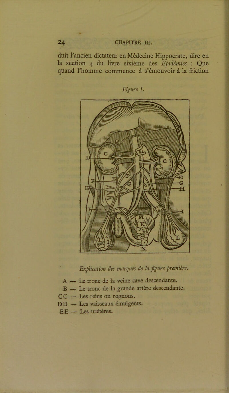 duit l’ancien dictateur en Médecine Hippocrate, dire en la section 4 du livre sixième des Epidémies : Que quand l’homme commence à s’émouvoir à la friction Figure I. Explication des marques de la figure première. Le tronc de la veine cave descendante. Le tronc de la grande artère descendante. Les reins ou rognons. Les vaisseaux émulgents. Les urétères. A — B — CC — DD — EE —