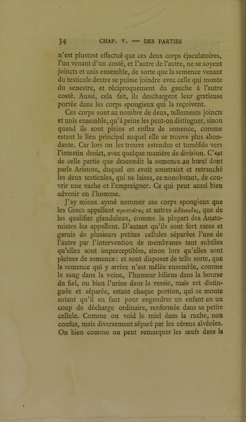 n’est plustost effectué que ces deux corps éjaculatoires, l’un venant d’un costé, et l’autre de l’autre, ne se soyent joincts et unis ensemble, de sorte que la semence venant du testicule dextre se puisse joindre avec celle qui monte du senestre, et réciproquement du gauche à l’autre costé. Aussi, cela fait, ils deschargent leur gratieuse portée dans les corps spongieux qui la reçoivent. Ces corps sont au nombre de deux, tellements joincts et unis ensemble, qu’à peine les peut-on distinguer, sinon quand ils sont pleins et enflez de semence, comme estant le lieu principal auquel elle se trouve plus abon- dante. Car lors on les trouve estendus et tuméfiés vers l’intestin droict, avec quelque manière de division. C’est de celle partie que descendit la semence au bœuf dont parle Aristote, duquel on avoit soustraict et retranché les deux testicules, qui ne laissa, ce nonobstant, de cou- vrir une vache et l’empreigner. Ce qui peut aussi bien advenir en l’homme. J’ay mieux a}Tné nommer ces corps spongieux que les Grecs appellent TrpooTocTaç et autres xâévoiSeç, que de les qualifier glanduleux, comme la plupart des Anato- mistes les appellent. D’autant qu’ils sont fort rares et garnis de plusieurs petites cellules séparées l’une de l’autre par l’intervention de membranes tant subtües qu’elles sont imperceptibles, sinon lors qu’elles sont pleines de semence : et sont disposez de telle sorte, que la semence qui y arrive n’est mêlée ensemble, comme le sang dans la veine, l’humeur bilieus dans la bourse du fiel, ou bien l’urine dans la vessie, mais est distin- guée et séparée, estant chaque portion, qui se monte autant qu’il en faut pour engendrer un enfant en un coup de décharge ordinaire, renfermée dans sa petite cellule. Comme on void le miel dans la ruche, non confus, mais diversement séparé par les céreus alvéoles. Ou bien comme on peut remarquer les œufs dans la