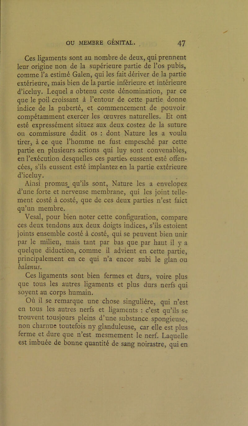 Ces ligaments sont au nombre de deux, qui prennent leur origine non de la supérieure partie de l’os pubis, comme l’a estimé Galen, qui les fait dériver de la partie extérieure, mais bien de la partie inférieure et intérieure d’iceluy. Lequel a obtenu ceste dénomination, par ce que le poil croissant à l’entour de cette partie donne indice de la puberté, et commencement de pouvoir compétamment exercer les oeuvres naturelles. Et ont esté expressément situez aux deux costez de la suture ou commissure dudit os : dont Nature les a voulu tirer, à ce que l’homme ne fust empesché par cette partie en plusieurs actions qui luy sont convenables, en l’exécution desquelles ces parties eussent esté offen- cées, s’ils eussent esté implantez en la partie extérieure d’iceluy. Ainsi promus^ qu’ils sont. Nature les a envelopez d’une forte et nerveuse membrane, qui les joint telle- ment costé à costé, que de ces deux parties n’est faict qu’un membre. Vesal, pour bien noter cette configuration, compare ces deux tendons aux deux doigts indices, s’ils estoient joints ensemble costé à costé, qui se peuvent bien unir par le milieu, mais tant par bas que par haut il y a quelque diduction, comme il advient en cette partie, principalement en ce qui n’a encor subi le glan ou halanus. Ces ligaments sont bien fermes et durs, voire plus que tous les autres ligaments et plus durs nerfs qui soyent au corps humain. Où il se remarque une chose singulière, qui n’est en tous les autres nerfs et ligaments : c’est qu’ils se trouvent tousjours pleins d’une substance spongieuse, non charnue toutefois ny glanduleuse, car elle est plus ferme et dure que n’est mesmement le nerf. Laquelle est imbuée de bonne quantité de sang noirastre, qui en