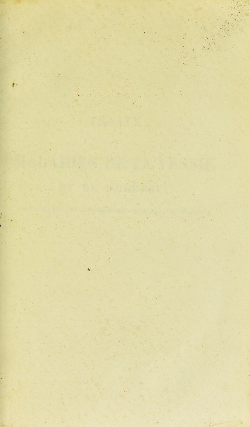 v«. t' / * * •a t