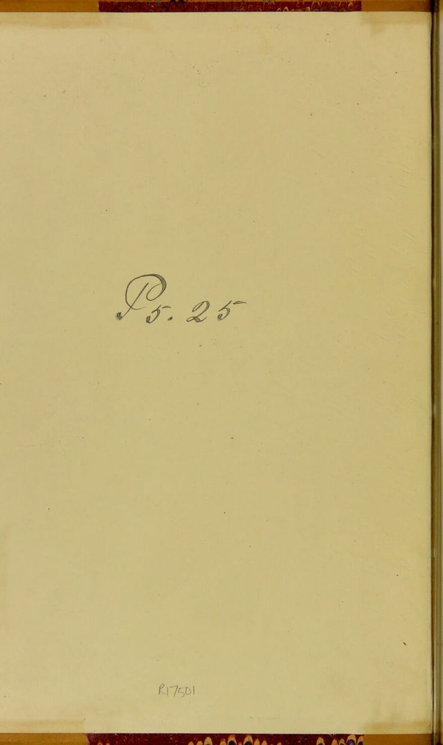 digitised image 2