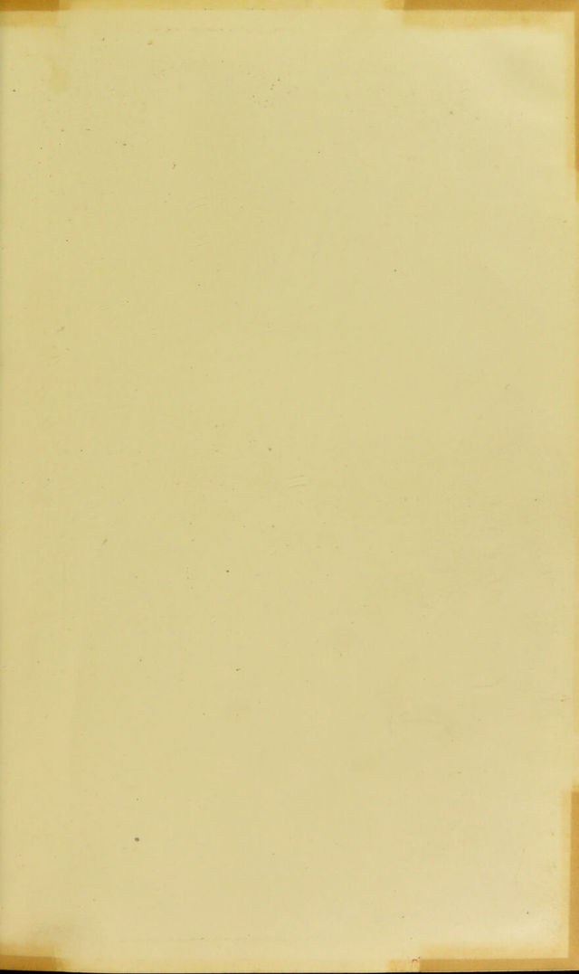 digitised image 3