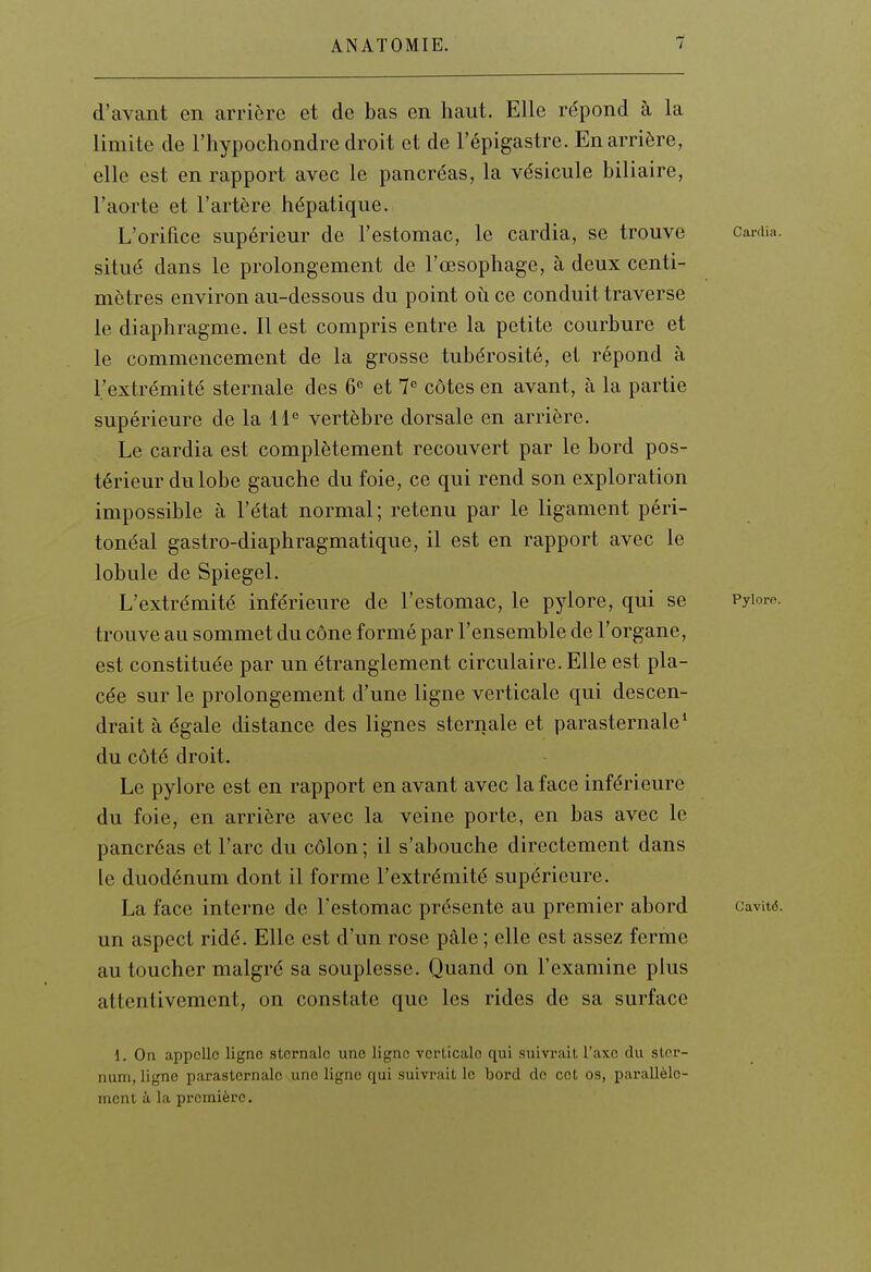 d'avant en arrière et de bas en haut. Elle répond à la limite de l'hypocliondre droit et de l'épigastre. En arrière, elle est en rapport avec le pancréas, la vésicule biliaire, l'aorte et l'artère hépatique. L'orifice supérieur de l'estomac, le cardia, se trouve cardia, situé dans le prolongement de l'œsophage, à deux centi- mètres environ au-dessous du point oii ce conduit traverse le diaphragme. Il est compris entre la petite courbure et le commencement de la grosse tubérosité, et répond à l'extrémité sternale des 6 et 1 côtes en avant, à la partie supérieure de la 11^ vertèbre dorsale en arrière. Le cardia est complètement recouvert par le bord pos- térieur du lobe gauche du foie, ce qui rend son exploration impossible à l'état normal; retenu par le ligament péri- tonéal gastro-diaphragmatique, il est en rapport avec le lobule de Spiegel. L'extrémité inférieure de l'estomac, le pylore, qui se Pyioro. trouve au sommet du cône formé par l'ensemble de l'organe, est constituée par un étranglement circulaire. Elle est pla- cée sur le prolongement d'une ligne verticale qui descen- drait à égale distance des lignes sternale et parasternale* du côté droit. Le pylore est en rapport en avant avec la face inférieure du foie, en arrière avec la veine porte, en bas avec le pancréas et l'arc du côlon; il s'abouche directement dans le duodénum dont il forme l'extrémité supérieure. La face interne de l'estomac présente au premier abord cavité, un aspect ridé. Elle est d'un rose pâle ; elle est assez ferme au toucher malgré sa souplesse. Quand on l'examine plus attentivement, on constate que les rides de sa surface 1. On appelle ligne sternale une ligne vei-Licalc qui suivrait, Taxe du ster- num, ligne parasternalc une ligne qui suivrait le bord de cet os, parallèle- ment à la première.