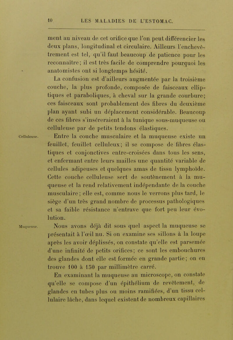 ment au niveau de cet orifice que l'on peut différencier les deux plans, longitudinal et circulaire. Ailleurs l'enchevô- trement est tel, qu'il faut beaucoup de patience pour les reconnaître ; il est très facile de comprendre pourquoi les anatomistes ont si longtemps hésité. La confusion est d'ailleurs augmentée par la troisième couche, la plus profonde, composée de faisceaux ellip- tiques et paraboliques, à cheval sur la grande courbure; ces faisceaux sont probablement des fibres du deuxième plan ayant subi un déplacement considérable. Beaucoup de ces fibres s'inséreraient à la tunique sous-muqueuse ou celluleuse par de petits tendons élastiques. Celluleuse. Entre la couche musculaire et la muqueuse existe un feuillet, feuillet celluleiix; il se compose de fibres élas- tiques et conjonctives entre-croisées dans tous les sens, et enfermant entre leurs mailles une quantité variable de cellules adipeuses et quelques amas de tissu lymphoïde. Cette couche celluleuse sert de soutènement à la mu- queuse et la rend relativement indépendante de la couche musculaire ; elle est, comme nous le verrons plus tard, le siège d'un très grand nombre de processus pathologiques et sa faible résistance n'entrave que fort peu leur évo- lution. Muqueuse. Nous avous déjà dit sous quel aspect la muqueuse se présentait à l'œil nu. Si on examine ses sillons à la loupe après les avoir déplissés, on constate qu'elle est parsemée d'une infinité de petits orifices; ce sont les embouchures des glandes dont elle est formée en grande partie ; on en trouve 100 à 150 par millimètre carré. En examinant la muqueuse au microscope, on constate qu'elle se compose d'un épithélium de revêtement, de glandes en tubes plus ou moins ramifiées, d'un tissu cel- lulaire lâche, dans lequel existent de nombreux capillaires