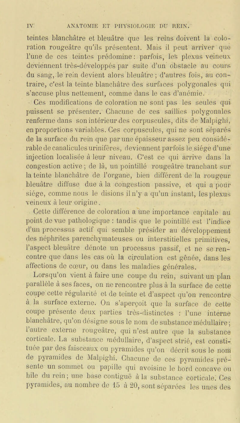 teintes blanchâtre et bleuâtre que les reins doivent la colo- ration rougeâtre qu'ils présentent. Mais il peut arriver que L’une de ces teintes prédomine : parfois, les plexus veineux deviennent très-développés par suite d’un obstacle au cours du sang, le rein devient alors bleuâtre ; d’autres fois, au con- traire, c’est la teinte blanchâtre des surfaces polygonales qui s’accuse plus nettement, comme dans le cas d’anémie. Ces modifications de coloration ne sont pas les seules qui puissent se présenter. Chacune de ces saillies polygonales renferme dans son intérieur des corpuscules, dits de Malpighi, en proportions variables. Ces corpuscules, qui ne sont séparés de la surface du rein que par une épaisseur assez peu considé- rable de canalicules urinifères, deviennent parfois le siège d’une injection localisée à leur niveau. C’est ce qui arrive dans la congestion active; de là, un pointillé rougeâtre tranchant sur la teinte blanchâtre de l’organe, bien différent de la rougeur bleuâtre diffuse due à la congestion passive, et qui a pour siège, comme nous le disions il n’y a qu’un instant, les plexus veineux à leur origine. Cette différence de coloration a une importance capitale au point de vue pathologique : tandis que le pointillé est l’indice d’un processus actif qui semble présider au développement des néphrites parenchymateuses ou interstitielles primitives, l’aspect bleuâtre dénote un processus passif, et ne se ren- contre que dans les cas où la circulation est gênée, dans les affections de cœur, ou dans les maladies générales. Lorsqu’on vient à faire une coupe du rein, suivant un plan parallèle à ses faces, on ne rencontre plus à la surface de cette coupe cette régularité et de teinte et d’aspect qu’on rencontre à la surface externe. On s’aperçoit que la surface de cette coupe présente deux parties très-distinctes : l’une interne blanchâtre, qu’on désigne sous le nom de substance médullaire ; 1 autre externe rougeâtre, qui n’est autre que la substance corLicale. La substance médullaire, d’aspect strié, est consti- tuée par des faisceaux ou pyramides qu’on décrit sous le nom de pyramides de Malpighi. Chacune de ces pyramides pré- sente un sommet ou papille qui avoisine le bord concave ou bile du rein; une base contiguë à la substance corticale! Ces pyramides, au nombre de 15 à 20, sont séparées les unes des