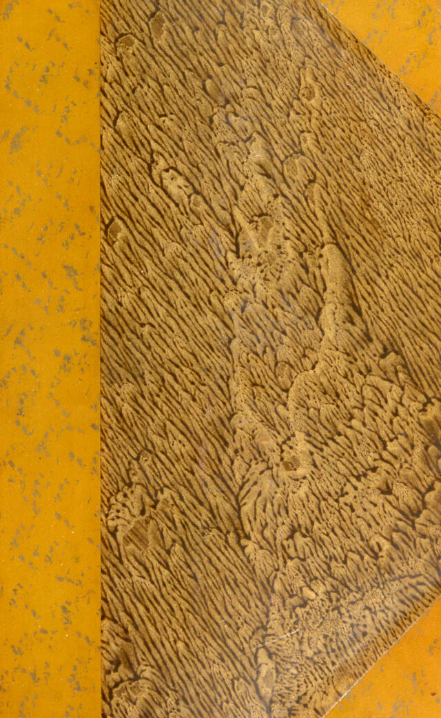 digitised image 1