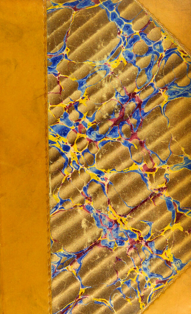 No text description is available for this image