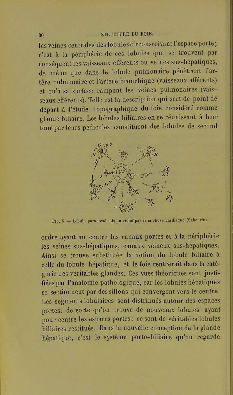 les veines centrales des lobules circonscrivant l'espace porte; c'est à la périphérie de ces lobules que se trouvent par conséquent les vaisseaux efférents ou veines sus-hépatiques, de même que dans le lobule pulmonaire pénètrent l'ar- tère pulmonaire et l'artère bronchique (vaisseaux afférents) et qu'à sa surface rampent les veines pulmonaires (vais- seaux efférents). Telle est la description qui sert de point de départ à l'étude topographique du foie considéré comme glande biliaire. Les lobules biliaires en se réunissant à leur tour par leurs pédicules constituent des lobules de second 7\ f jm» •Cil' <-/'  FlG. 6. — Lobule paradoxal mis en relief par la cirrhose cardiaque (Sabourin). ordre ayant au centre les canaux portes et à la périphérie les veines sus-hépatiques, canaux veineux sus-hépatiques. Ainsi se trouve substituée la notion du lobule biliaire à celle du lobule hépatique, et le foie rentrerait dans la caté- gorie des véritables glandes. Ces vues théoriques sont justi- fiées par l'anatomie pathologique, car les lobules hépatiques se sectionnent par des sillons qui convergent vers le centre. Les segments lobulaires sont distribués autour des espaces portes, de sorte qu'on trouve de nouveaux lobules ayant pour centre les espaces portes ; ce sont de véritables lobules biliaires restitués. Dans la nouvelle conception de la glande hépatique, c'est le système porto-biliaire qu'on regarde