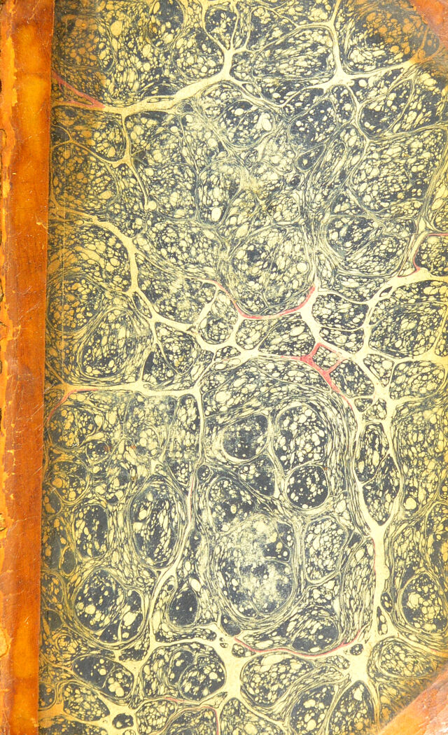 No text description is available for this image