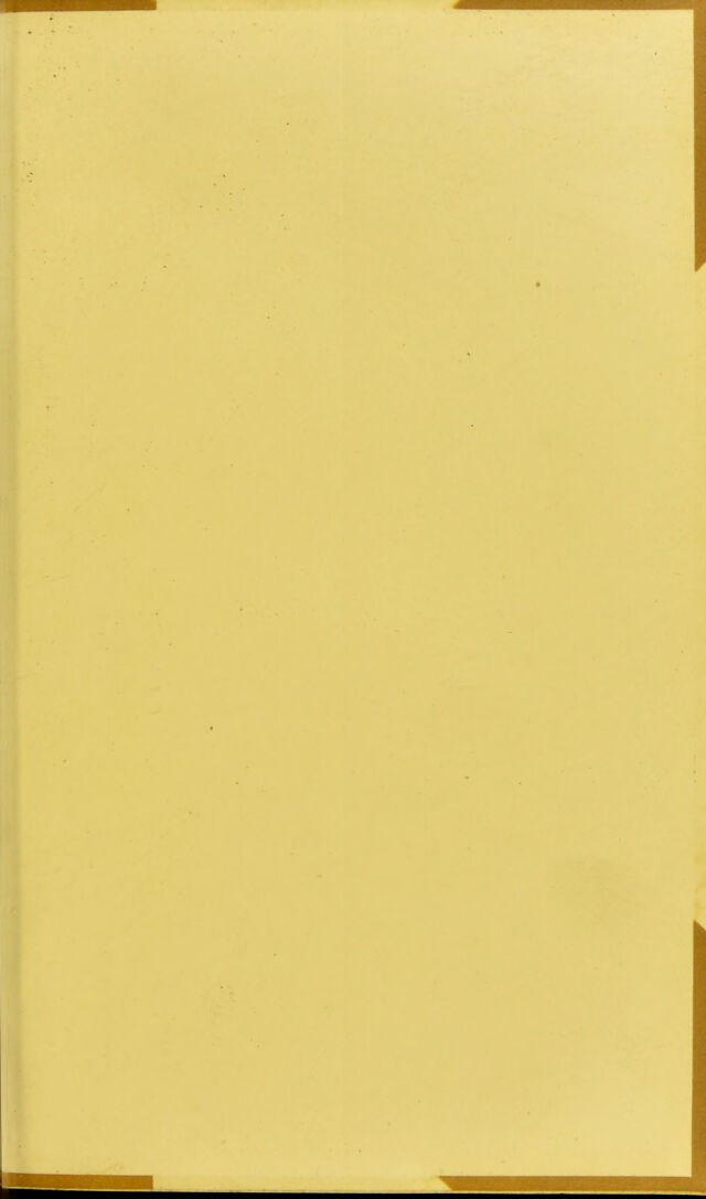 digitised image 3
