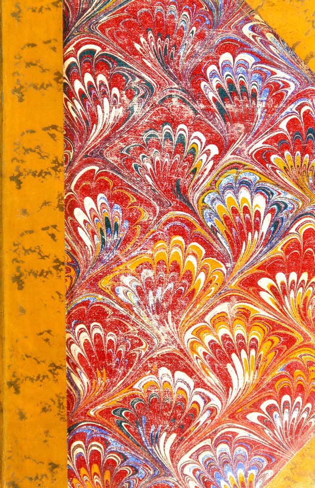 No text description is available for this image