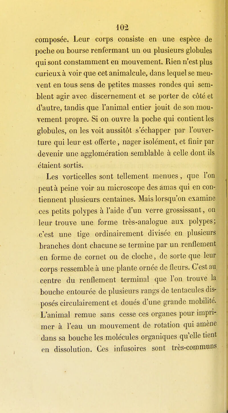 402 composée. Leur corps consiste en une espèce de poche ou bourse renfermant un ou plusieurs globules qui sont constamment en mouvement. Rien n'est plus curieux à voir que cet animalcule, dans lequel se meu- vent en tous sens de petites masses rondes qui sem- blent agir avec discernement et se porter de côté et d'autre, tandis que l'animal entier jouit de son mou- vement propre. Si on ouvre la poche qui contient les globules, on les voit aussitôt s'échapper par l'ouver- ture qui leur est offerte, nager isolément, et finir par devenir une agglomération semblable à celle dont ils étaient sortis. Les vorticelles sont tellement menues, que l'on peut à peine voir au microscope des amas qui en con- tiennent plusieurs centaines. Mais lorsqu'on examine ces petits polypes à l'aide d'un verre grossissant, on leur trouve une forme très-analogue aux polypes; c'est une tige ordinairement divisée en plusieurs branches dont chacune se termine par un renflement en forme de cornet ou de cloche, de sorte que leur corps ressemble à une plante ornée de fleurs. C'est au centre du renflement terminal que Ton trouve la bouche entourée de plusieurs rangs de tentacules dis- posés circulairement et doués d'une grande mobilité. L'animal remue sans cesse ces organes pour impri- mer à l'eau un mouvement de rotation qui amène dans sa bouche les molécules organiques qu'elle tient en dissolution. Ces infusoires sont très-communs