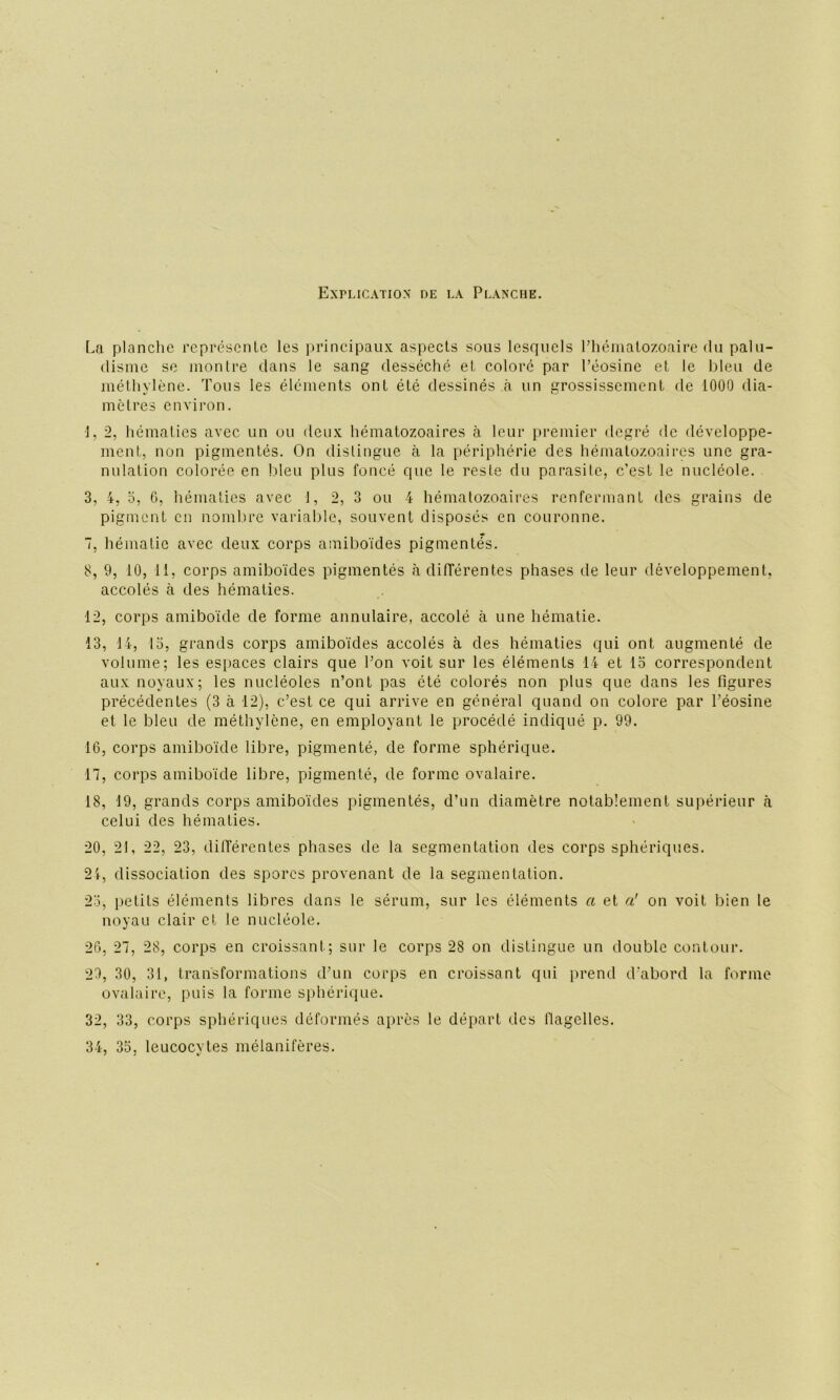 Explication oe la Planche. [.a planche représente les principaux aspects sous lesquels l’hématozoaire du palu- disme se montre clans le sang desséché et coloré par l’éosine et le bleu de méthylène. Tous les éléments ont été dessinés à un grossissement de 1000 dia- mètres environ. 1, 2, hématies avec un ou deux hématozoaires à leur premier degré de développe- ment, non pigmentés. On distingue à la périphérie des hématozoaires une gra- nulation colorée en bleu plus foncé que le reste du parasite, c’est le nucléole. 3, 4, o, 6, hématies avec 1, 2, 3 ou 4 hématozoaires renfermant des grains de pigment en nombre variable, souvent disposés en couronne. 7, hématie avec deux corps amiboïdes pigmentés. 8, 9, 10, Tl, corps amiboïdes pigmentés à différentes phases de leur développement, accolés à des hématies. 12, corps amiboïde de forme annulaire, accolé à une hématie. 13, 14, 15, grands corps amiboïdes accolés à des hématies qui ont augmenté de volume; les espaces clairs que Ton voit sur les éléments 14 et 15 correspondent aux noyaux; les nucléoles n’ont pas été colorés non plus que dans les figures précédentes (3 à 12), c’est ce qui arrive en général quand on colore par l’éosine et le bleu de méthylène, en employant le procédé indiqué p. 99. 16, corps amiboïde libre, pigmenté, de forme sphérique. 17, corps amiboïde libre, pigmenté, de forme ovalaire. 18, 19, grands corps amiboïdes pigmentés, d’un diamètre notablement supérieur à celui des hématies. 20, 21, 22, 23, différentes phases de la segmentation des corps sphériques. 24, dissociation des spores provenant de la segmentation. 25, petits éléments libres dans le sérum, sur les éléments a et a' on voit bien le noyau clair et le nucléole. 26, 27, 28, corps en croissant; sur le corps 28 on distingue un double contour. 29, 30, 31, transformations d’un corps en croissant qui prend d'abord la forme ovalaire, puis la forme sphérique. 32, 33, corps sphériques déformés après le départ des flagelles. 34, 35. leucocytes mélanifères. /y v