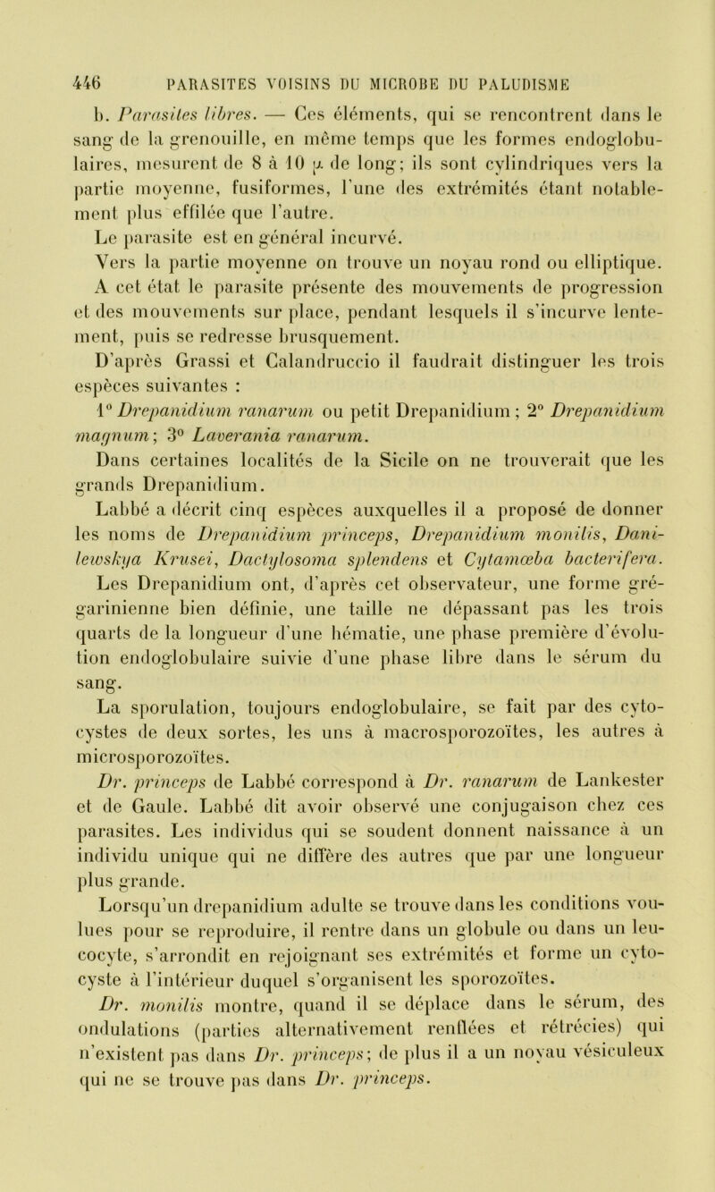 b. Parasites libres. — Ces éléments, qui se rencontrent dans le sang de la grenouille, en même temps que les formes endoglobu- laires, mesurent de 8 à 10 p. de long; ils sont cylindriques vers la partie moyenne, fusiformes, l’une des extrémités étant notable- ment plus effilée que l’autre. Le parasite est en général incurvé. Vers la partie moyenne on trouve un noyau rond ou elliptique. A cet état le parasite présente des mouvements de progression et des mouvements sur place, pendant lesquels il s’incurve lente- ment, puis se redresse brusquement. D’après Grassi et Calandruccio il faudrait distinguer les trois espèces suivantes : 10 Drepanidium ranarum ou petit Drepanidium ; 2° Drepanidium magnum; 3° Laverania ranarum. Dans certaines localités de la Sicile on ne trouverait que les grands Drepanidium. Labbé a décrit cinq espèces auxquelles il a proposé de donner les noms de Drepanidium pr incep s, Drepanidium monilis, Dani- lewskya Krusei, Dactylosoma splendens et Cytamœba bacteriferci. Les Drepanidium ont, d’après cet observateur, une forme gré- garinienne bien définie, une taille ne dépassant pas les trois quarts de la longueur d’une hématie, une phase première d’évolu- tion endoglobulaire suivie d’une phase libre dans le sérum du sang. La sporulation, toujours endoglobulaire, se fait par des cyto- cystes de deux sortes, les uns à macrosporozoïtes, les autres à microsporozoïtes. Dr. princeps de Labbé correspond à Dr. ranarum de Lankester et de Gaule. Labbé dit avoir observé une conjugaison chez ces parasites. Les individus qui se soudent donnent naissance à un individu unique qui ne diffère des autres que par une longueur plus grande. Lorsqu’un drepanidium adulte se trouve dans les conditions vou- lu es pour se reproduire, il rentre dans un globule ou dans un leu- cocyte, s’arrondit en rejoignant ses extrémités et forme un cyto- cyste à l’intérieur duquel s’organisent les sporozoïtes. Dr. monilis montre, quand il se déplace dans le sérum, des ondulations (parties alternativement renflées et rétrécies) qui n’existent pas dans Dr. princeps ; de plus il a un noyau vésiculeux qui ne se trouve pas dans Dr. princeps.