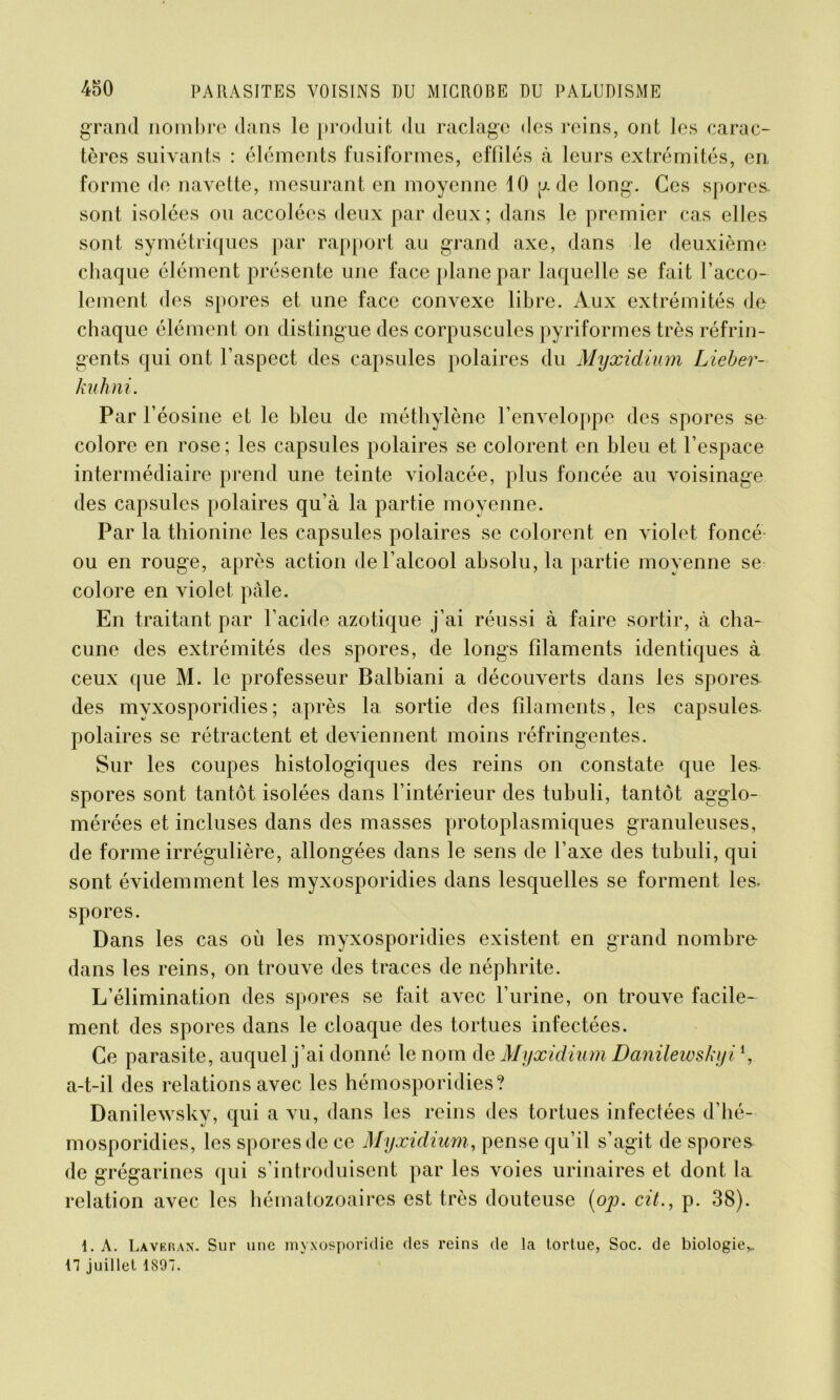 grand nombre dans le produit du raclage des reins, ont les carac- tères suivants : éléments fusiformes, effilés à leurs extrémités, en forme de navette, mesurant en moyenne 10 p de long. Ces spores, sont isolées ou accolées deux par deux; dans le premier cas elles sont symétriques par rapport au grand axe, dans le deuxième chaque élément présente une face plane par laquelle se fait l’acco- lement des spores et une face convexe libre. Aux extrémités de chaque élément on distingue des corpuscules pyriformes très réfrin- gents qui ont l’aspect des capsules polaires du Myxidium Lieber- kuhni. Par l’éosine et le bleu de méthylène l’enveloppe des spores se colore en rose; les capsules polaires se colorent en bleu et l’espace intermédiaire prend une teinte violacée, plus foncée au voisinage des capsules polaires qu’à la partie moyenne. Par la thionine les capsules polaires se colorent en violet foncé- ou en rouge, après action de l’alcool absolu, la partie moyenne se colore en violet pâle. En traitant par l’acide azotique j’ai réussi à faire sortir, à cha- cune des extrémités des spores, de longs filaments identiques à ceux que M. le professeur Balbiani a découverts dans les spores des myxosporidies; après la sortie des filaments, les capsules, polaires se rétractent et deviennent moins réfringentes. Sur les coupes histologiques des reins on constate que les spores sont tantôt isolées dans l’intérieur des tubuli, tantôt agglo- mérées et incluses dans des masses protoplasmiques granuleuses, de forme irrégulière, allongées dans le sens de l’axe des tubuli, qui sont évidemment les myxosporidies dans lesquelles se forment les. spores. Dans les cas où les myxosporidies existent en grand nombre- dans les reins, on trouve des traces de néphrite. L’élimination des spores se fait avec l’urine, on trouve facile- ment des spores dans le cloaque des tortues infectées. Ce parasite, auquel j’ai donné le nom de Myxidium Danilewskyi *, a-t-il des relations avec les hémosporidies? Danilewsky, qui a vu, dans les reins des tortues infectées d’hé- mosporidies, les spores de ce Myxidium, pense qu’il s’agit de spores de grégarines qui s’introduisent par les voies urinaires et dont la relation avec les hématozoaires est très douteuse (op. cit., p. 38). 1. A. Laveran. Sur une myxosporidie des reins de la tortue, Soc. de biologie,. 17 juillet 1807.
