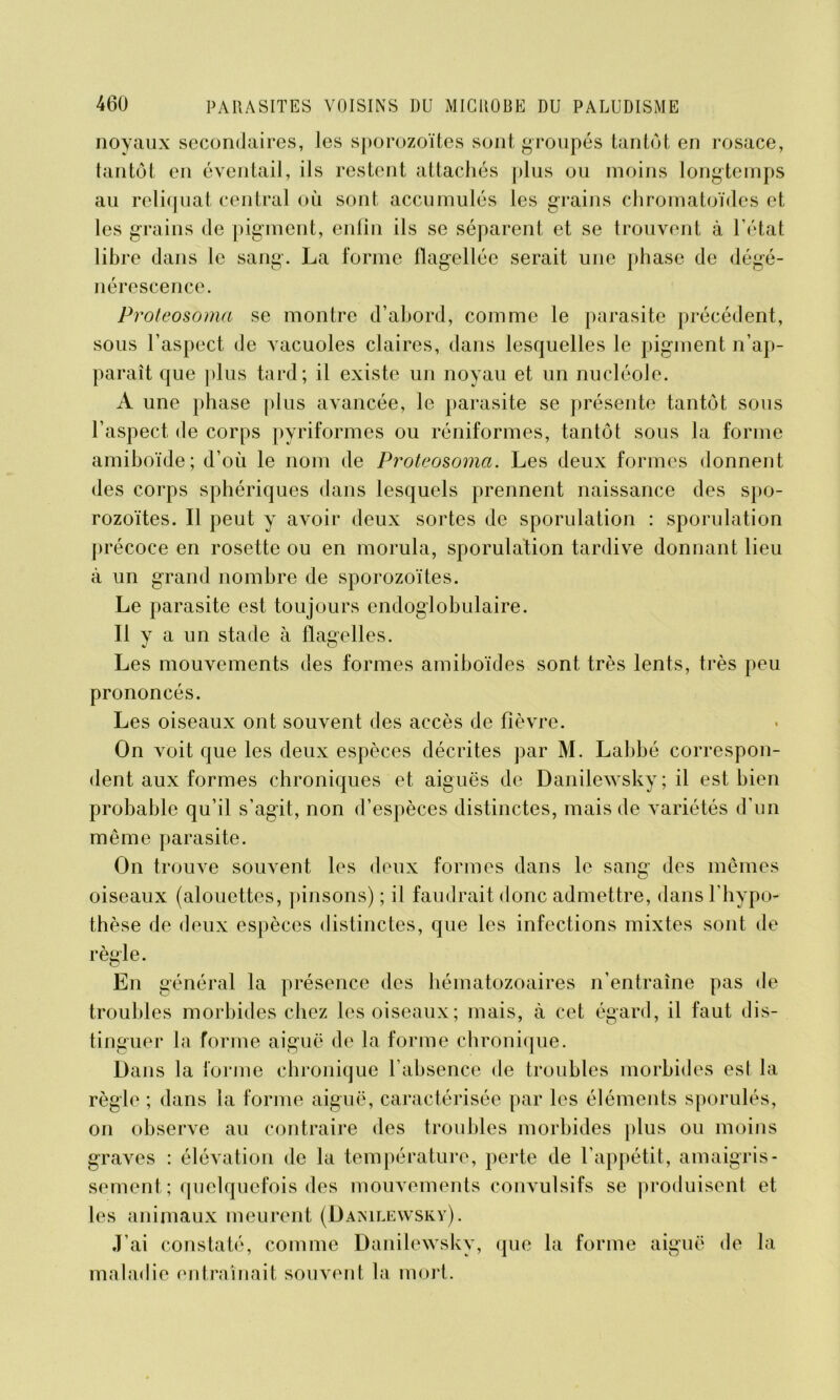 noyaux secondaires, les sporozoïtes sont groupés tantôt, en rosace, tantôt en éventail, ils restent attachés plus ou moins longtemps au reliquat central où sont accumulés les grains chromatoïdes et les grains de pigment, enfin ils se séparent et se trouvent à l’état libre dans le sang. La forme flagellée serait une phase de dégé- nérescence. Proteosoma se montre d’abord, comme le parasite précédent, sous l’aspect de vacuoles claires, dans lesquelles le pigment n’ap- paraît que plus tard; il existe un noyau et un nucléole. A une phase plus avancée, le parasite se présente tantôt sous l’aspect de corps pyriformes ou réniformes, tantôt sous la forme amiboïde; d’où le nom de Proteosoma. Les deux formes donnent des corps sphériques dans lesquels prennent naissance des spo- rozoïtes. Il peut y avoir deux sortes de sporulation : sporulation précoce en rosette ou en morula, sporulation tardive donnant lieu à un grand nombre de sporozoïtes. Le parasite est toujours endoglobulaire. Il y a un stade à flagelles. Les mouvements des formes amiboïdes sont très lents, très peu prononcés. Les oiseaux ont souvent des accès de fièvre. On voit que les deux espèces décrites par M. Labbé correspon- dent aux formes chroniques et aiguës de Danilewsky; il est bien probable qu’il s’agit, non d’espèces distinctes, mais de variétés d’un même parasite. On trouve souvent les deux formes dans le sang des mêmes oiseaux (alouettes, pinsons) ; il faudrait donc admettre, dans l'hypo- thèse de deux espèces distinctes, que les infections mixtes sont de règle. En général la présence des hématozoaires n’entraîne pas de troubles morbides chez les oiseaux; mais, à cet égard, il faut dis- tinguer la forme aiguë de la forme chronique. Dans la forme chronique l’absence de troubles morbides est la règle ; dans la forme aiguë, caractérisée par les éléments sporulés, on observe au contraire des troubles morbides plus ou moins graves : élévation de la température, perte de l’appétit, amaigris- sement ; quelquefois des mouvements convulsifs se produisent et les animaux meurent (Danilewsky). J’ai constaté, comme Danilewsky, que la forme aiguë de la maladie entraînait souvent la mort.