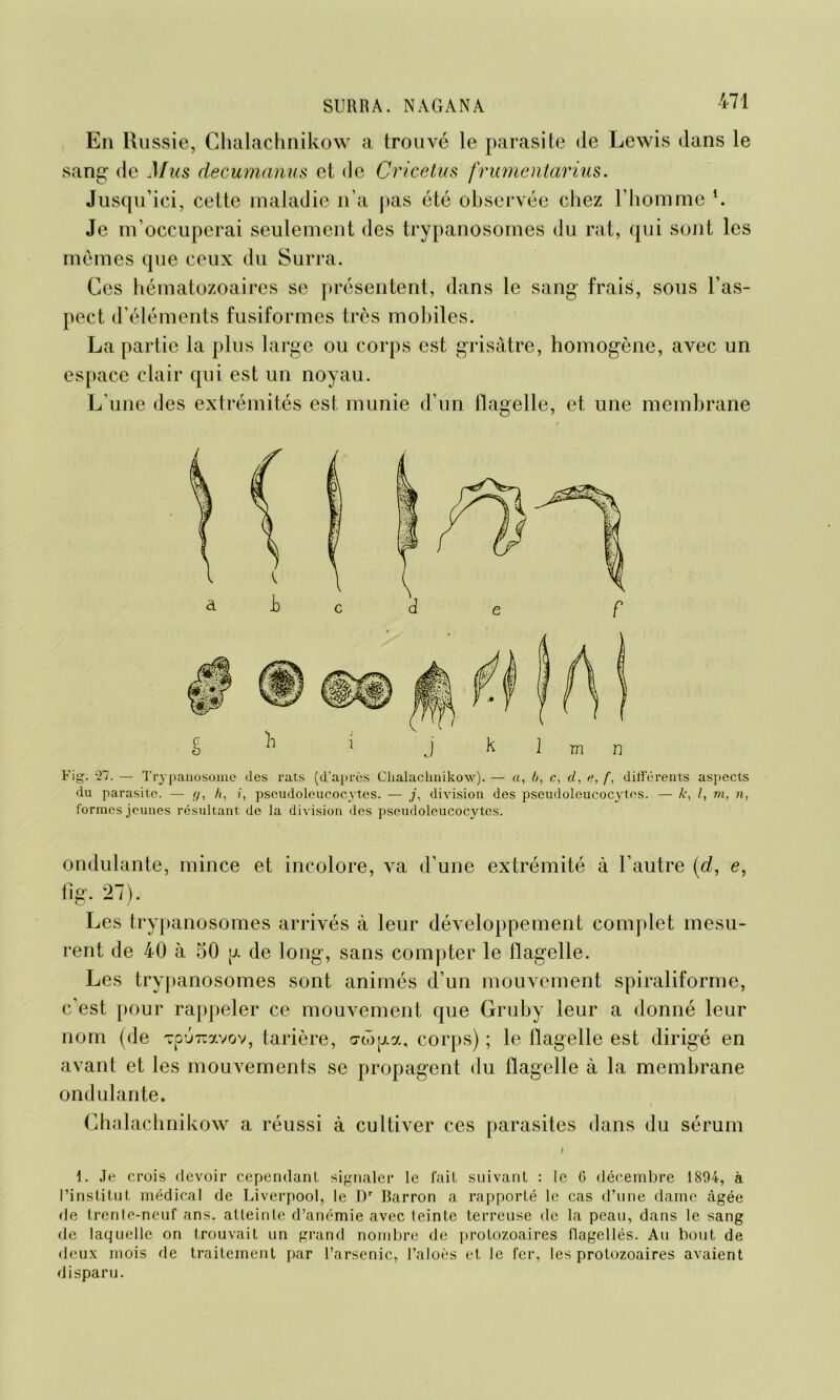 En Ru ssie, Chalachnikow a trouvé le parasite <le Lewis dans le sang de Mus decumanus et de Cricetus frumentarius. Jusqu’ici, cette maladie n’a pas été observée chez l’homme l. Je m’occuperai seulement des trypanosomes du rat, qui sont les mêmes que ceux du Surra. Ces hématozoaires se présentent, dans le sang frais, sous l’as- pect d’éléments fusiformes très mobiles. La partie la plus large ou corps est grisâtre, homogène, avec un espace clair qui est un noyau. L’une des extrémités est munie d’un tlagelle, et une membrane Fig. 27. — Trypanosome des rats (d'après Chalachnikow). — a, b, c, d, e, f, différents aspects du parasite. — r/, h. i, pseudoleucocytes. — j, division des pseudoleucocytes. — k, !, m, n, formes jeunes résultant de la division des pseudoleucocytcs. ondulante, mince et incolore, va d’une extrémité à l’autre (d, e, fig. 27). Les trypanosomes arrivés à leur développement complet mesu- rent de 40 à 50 y. de long, sans compter le flagelle. Les trypanosomes sont animés d’un mouvement spiraliforme, c’est pour rappeler ce mouvement que Gruby leur a donné leur nom (de Tp’jicavov, tarière, o-wp-a, corps) ; le flagelle est dirigé en avant et les mouvements se propagent du flagelle à la membrane ondulante. Chalachnikow a réussi à cultiver ces parasites dans du sérum 1. Je crois devoir cependant signaler le fait suivant : le 6 décembre 1894, à l’institut médical de Liverpool, le Dr Barron a rapporté le cas d’une dame âgée de trente-neuf ans. atteinle d’anémie avec teinte terreuse de la peau, dans le sang de laquelle on trouvait un grand nombre de protozoaires flagellés. Au bout de deux mois de traitement par l’arsenic, l’aloès et le fer, les protozoaires avaient disparu.