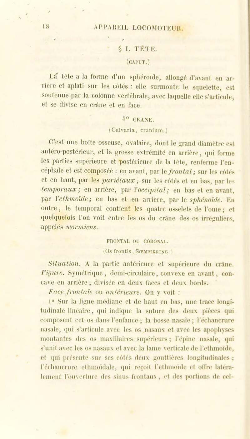 § I. TÈTK. (CAI'UT.) LfT tcte a la forme d'un spliéroïde, allongé d'avant en ar- rière et aplati sur les côtés : elle surmonte le squelette, est soutenue par la colonne vertébrale, avec laquelle elle s'articule, et se divise en crâne et en face. \° CRANE. (Calvaria, cranium.) C'est une boîte osseuse, ovalaire, dont le grand diamètre est antéro-postérieur, et la grosse extrémité en arrière, qui forme les parties supérieure et postérieure de la tète, renferme l'en- céphale et est composée : en avant, par ]e frontal; sur les côtés et en haut, par les pariétaux ; sur les côtés et en bas, par lo^ temporaux; en arrière, par Voccipital; en bas et en avant, par Vethmoïde; en bas et en arrière, par le sphénoïde. En outre, le temporal contient les quatre osselets de l'ouïe ; et quelquefois l'on voit entre les os du crâne des os irrégidiens, appelés wormiens. FRONTAL OU COROSAL. (Os frontis, Sœmmerikg. i SUualion. A la partie antérieure et supérieure du crâne. Figure. Symétrique, demi-circulaire, con\e\e en avant, con- cave en arrière ; divisée en deux faces et deux bords. Face frontale ou antérieure. On y voit : 1° Sur la ligne médiane et de haut en bas, une trace longi- ludinale linéaire, qui indique la suture des deux pièces qui coiiqiosent cet os dans l'enfance ; la bosse nasale; l'échancnire nasale, (pii s'articule avec les os nasaux cl avec les a]>opliyses montantes des os maxillaires supérieurs ; Tépine nasale, qui s'unit avec les os nasaux et avec la lame verticale de l'ellinjoidc, et ([ui présente sur ses côtés deux gouttières longitudinales ; l'éciiancrure elhmoïdale, qui reçoit l'ellmioïde et olTre latéra- lement l'ouxcrlure des sinus fn>nlau\, <•! des portions de rel-