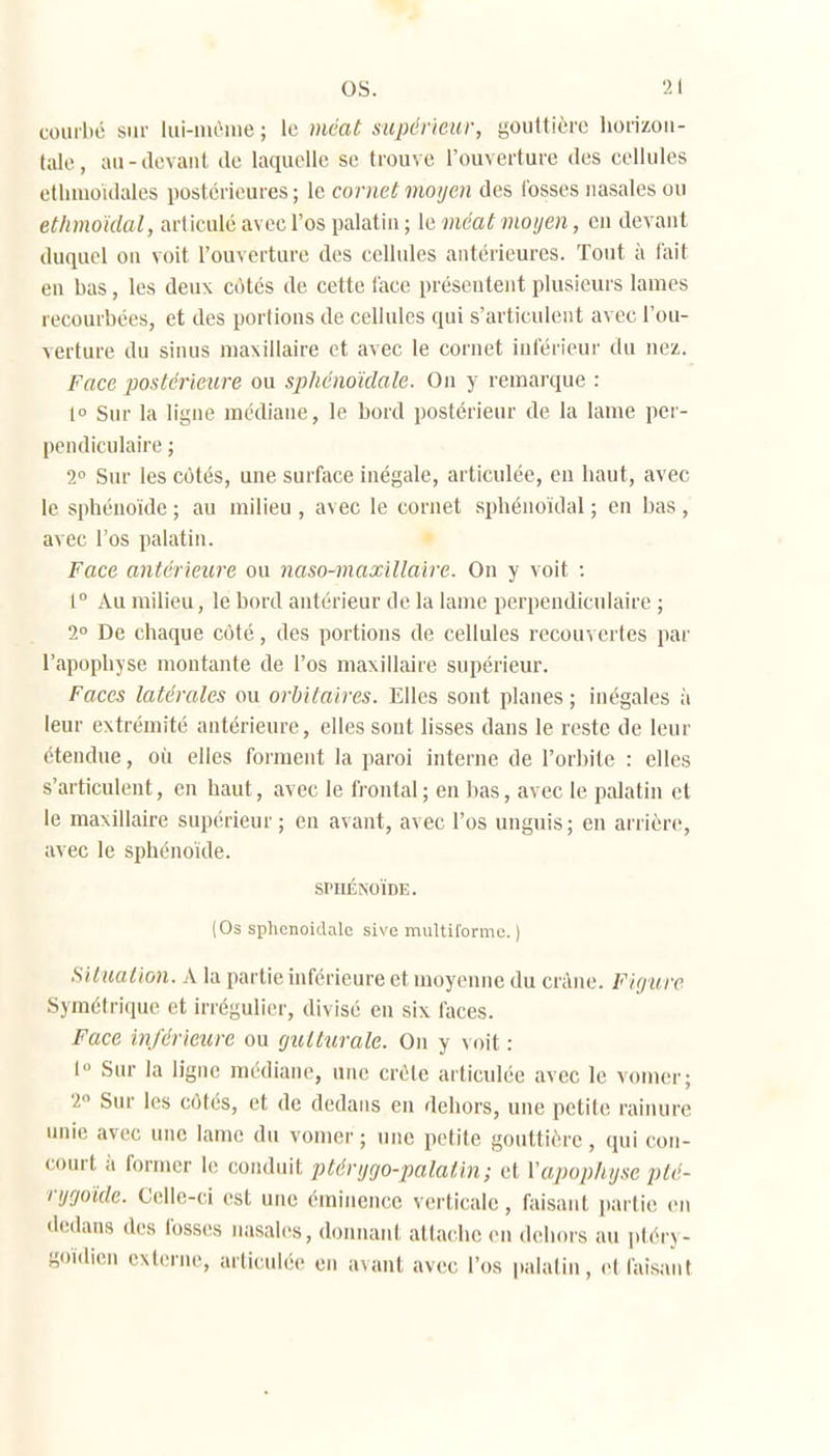 couilié sur lui-iiuhiie ; le méat supérieur, gouttière liorizou- tale, au-devant de laquelle se trouve l'ouverture des cellules etlnuoidales postérieures ; le corneù moyen des fosses nasales ou ethmoidal, articulé avec l'os palatin; [a méat moyen, eu devant duquel on voit l'ouverture des cellules antérieures. Tout à fait en bas, les deux cotés de cette face présentent plusieurs lames recourbées, et des portions de cellules qui s'articulent avec l'ou- Acrture du sinus maxillaire et avec le cornet inférieur du nez. Face postérieure ou sphénoïdale. On y remai'que : l Sur la ligne médiane, le bord postérieur de la lame per- pendiculaire ; 1° Sur les cotés, une surface inégale, articulée, en haut, avec le sphénoïde ; au milieu , avec le cornet sphénoïdal ; en bas, avec l'os palatin. Face antérieure ou naso-maxillaire. On y voit : r Au milieu, le bord antérieur de la lame perpendiculaire ; 2° De chaque coté, des portions de cellules recouvertes par l'.ipophyse montante de l'os maxillaire supérieur. Faces latérales ou orbitaires. Elles sont planes; inégales à leur extrémité antérieure, elles sont lisses dans le reste de leur étendue, où elles forment la paroi interne de l'orbite : elles s'articulent, en haut, avec le frontal; en bas, avec le palatin et le maxillaire supérieur ; en avant, avec l'os unguis; en arrière, avec le sphénoïde. SPHÉNOÏDE. (Os sphenoidale sive multiforme. ) Situation. A la partie inférieure et moyenne du cràiie. Fiy urc Symétrique et irrégulier, divisé en six faces. Face inférieure ou gutturale. On y xoit : 1 Sur la ligne médiane, une crête articulée avec le vomer; 2 Sur les côtés, et de dedans en dehors, une petite rainure unie avec une lame du vomer ; une petite gouttière, qui con- court à former le conduit ptéri/rjo-palatin; et Vapop/iyse pté- rijgoide. Celle-ci est une éminencc verticale, faisant partie (-n dedans des fosses nasales, donnaid attache en dehors au pléry- goïdien externe, articulée en avant avec l'os palatin, etfaisant