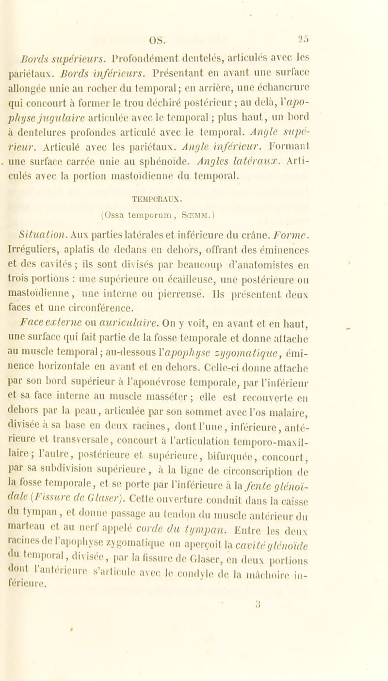 nords supériews. Profoiulémcnt dentelés, arliciilcs avec les pariétaux. Jiords inférieurs. Présentant en avant une surlacc allongée unie au rocher lUi temporal; en arriére, une échanerure qui concourt à l'ornier le trou déchiré postérieur ; au delà, Yapo- phy se jugulaire articulée avecle temporal ; plus haut, un bord à dentelures profondes articulé avec le temporal. Angle sape- rieur. Articulé avec les pariétaux. Angle inférieur, l'ormanl une surface carrée unie au sphénoïde. Angles latéraux. Arti- culés avec la portion mastoïdienne du temporal. TEJU'OIIAUX. ( Ossa temporum , Sœmm.) Situation. Aux parties latérales et inférieure du crAne. Forme. Irréguliers, aplatis de dedans en dehors, offrant des éminences et des cavités; ils sont di-.isés par beaucoup d'anatomistes en trois portions : une supérieure ou ccailleuse, une postérieure ou mastoïdienne, nue interne ou pierreuse. Ils présentent deux faces et une circonférence. Face externe ou auriculaire. On y voit, en avant et en haut, une surface qui fait partie de la fosse temporale et donne attache au muscle temporal ; au-dessous Vapophyse ::=ygomatique, émi- nence horizontale en avant et en dehors. Celle-ci donne attache par son bord supérieur à l'aponévrose temporale, par l'inlérieui' et sa face interne au muscle masséter ; elle est recouverte en dehors par la peau, articulée par son sommet avec l'os malaire, divisée ii sa base en deux racines, dont l'une, inféiieure, anté- rieure et transversale, concourt à l'articulation tcmporo-maxil- laire; l'atdrc, postérieure et supérieure, bifurquée, concourt, par sa subdivision su|)érieure, ii la ligne de circonscription de la fosse temporale, et se porte par l'inférieure à \a fente glénoï- dale (Fissure de Glaser). Cette ouverture coiuinit dans la caisse du tymjtan, et donne passage au tendon du nuisde antérieur du marteau et au nerf appelé corde du tympan. Entre les deux racines de l'apophyse zj gomali(pn! on a]ierçoit la cavitéglénoïde t u temporal, divisé.., par la (iss.ue de (ilaser, en deux portions dont l'autérie(u-(> s'articule avec; le condyle de la luAchoire in- férieure.