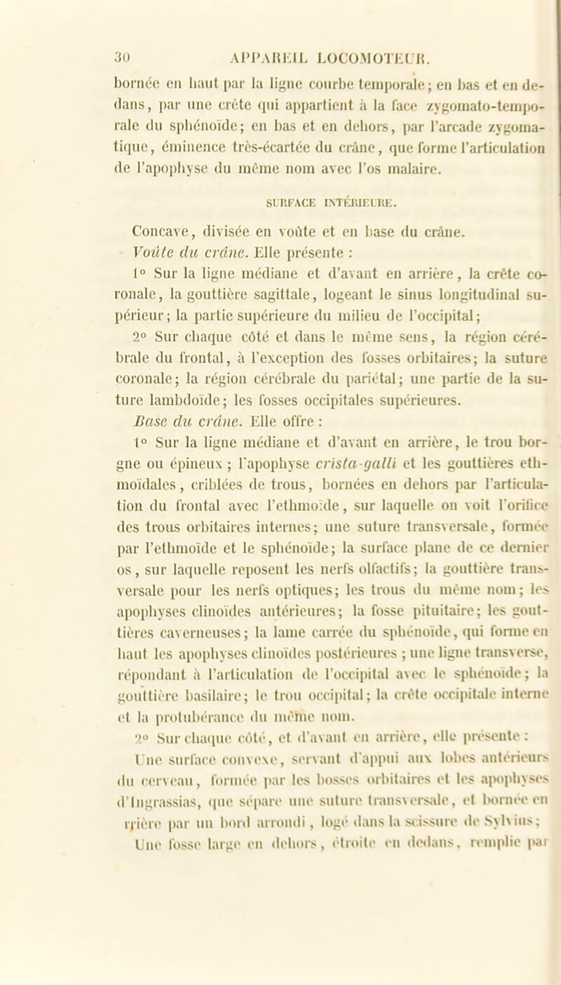 bornée en liaut par la ligne courbe temporale; eu bas et en de- dans , par une crête qui appartient à la lace zygomato-tenipo- rale du sphénoïde; en bas et en dehors, par l'arcade zygoina- tique, éuiinence très-écartée du crâne, que forme l'articulation de l'apopiiyse du même nom avec l'os malaire. SURFACE INTÉRIEURE. Concave, divisée en voûte et en base du crâne. Voûte du crdne. Elle présente : 1° Sur la ligne médiane et d'avant en arrière, la crête co- ronale, la gouttière sagittale, logeant le sinus longitudinal su- périeur; la partie supérieure du milieu de l'occipital; 1° Sur chaque côté et dans le mcme sens, la région céré- brale du frontal, à l'exception des fosses orbltaires; la suture coronale; la région cérébrale du pariétal; une partie de la su- ture lambdoïde; les fosses occipitales supérieures. Base du crdne. Elle offre : 1° Sur la ligne médiane et d'avant en arrière, le trou bor- gne ou épineux ; l'apophyse crista galli et les gouttières eth- moïdales, criblées de trous, bornées en dehors par l'articula- tion du frontal avec l'ethmoide, sur laquelle on voit l'orilic* des trous orbitaiies internes; une suture transversale, formée par l'ethmoide et le sphénoïde; la surface plane de ce dernier os, sur laquelle reposent les nerfs olfactifs; la gouttière trans- versale pour les nerfs optiques; les trous du même nom; les apophyses clinoïdcs antérieures; la fosse pituitaire; les gout- tières caverneuses; la lame carrée du sphénoïde, qui fonneen haut les apophyses clinoïdcs postérieures ; une ligne transverse, répondant à l'articulation de l'occipital avec le sphénoïde; la gouttière basilaire; le trou occipital; la crête occipitale interne et la protubérance du même nom. •).° Sur chaque côté, et d'avant en arrière, elle présente : Une surface convexe, servant d appui aux lobes antérieurs du cerveau, formée iKir les bosses orhilaircs et les ai>oph> ses d'Ingrassias, que sépare une suture transversale, et bornée en rjiùie par un bord arrondi, log«' dans la siissure de Syhius; Une fosse large en deluus, étroite en dedans, lenqtlie pai