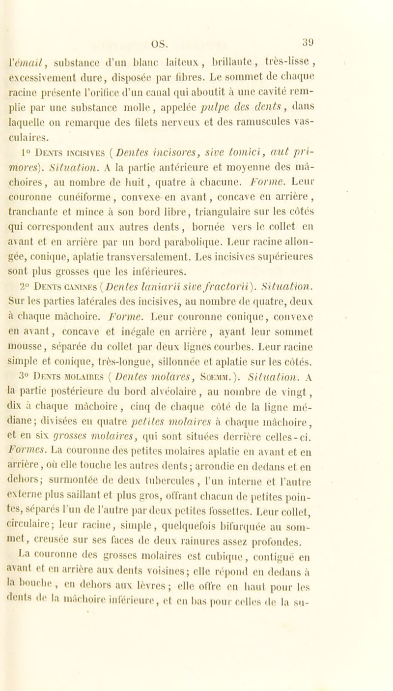 l'émail, sulislaiice irun blaiic laiteux, bnllaute, hès-lisse , excessivement dure, disposée i)ar libres. Le sommet de cliaque racine présente l'orilice d'un canal f|ui aboutit à une cavité rem- plie par une substance molle, appelée pulpe des dents, dans laquelle on remarque des filets nerveux et des ramuscules vas- ciilaires. 1° Dems incisives {Dentés incisorcs, sive toniici, mit pri- mores). Situation. A la partie antérieure et moyenne des mA- choires, au nombre de liuit, quatre à cbacune. Forme. Leur couronne cunéiforme, convexe en avant, concave en arrière , trancbante et mince à son bord libre, triangulaire sur les côtés qui correspondent aux autres dents, bornée vers le collet en a\ant et en arrière par un bord parabolique. Leur racine allon- gée, conique, aplatie transversalement. Les incisives supérieures sont plus grosses que les inférieures. 2 Dents CANi>Es {Dentés laniurii sive fractorii). Situation. Sur les parties latérales des incisives, au nombre de quatre, deux à cliaque mûclioire. Forme. Leur couronne conique, convexe en avant, concave et inégale en arrière, ayant leur sommet mousse, séparée du collet par deux lignes courbes. Leur racine simple et conique, trés-Iongue, sillonnée et aplatie sur les côtés. .3° Deîsts MOLAir.Es ( Dentés molares, Soejim.). Situation. X la partie postérieure du bord alvéolaire, au nombre de vingt, dix à chaque m;kboire, cinq de chaque côté de la ligne mé- diane; divisées en quatre petites molaires à chaque inAcboire, et en six grosses molaires, (pii sont situées derrière celles-ci. Formes. La couronne des petites molaires aplatie en avant et en arrière, où elle touche les autres dents ; arrondie en dedans et en deluHs; surmontée de deux liibercules, fun interne et l'autre externe plus saillant et plus gros, offrant chacun de petites poin- tes, séparés l'un de l'autre par deux petites fossettes. Leur collet, circulaire; leur racine, simple, qiichinefois bil'unpiée au som- met, creusée sur ses faces de deux rainures assez profondes. La couronne des grosses molaires est cubi([iie, contiguè eu a\ant et en arrière aux dents voisines; elle répond en dedans à la boiidie, en dehors aux lèvres; elle offre en haul pour les dénis (1(> la mâchoire inrérieure, cl en bas pour (elles de la su-