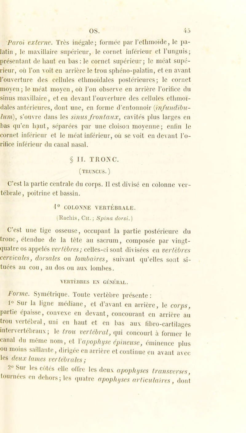 Pdioi externe. Trî-s inégale; Ibniiée par rethinoule, le pa- latin, le niaxillaiie supéiieui-, le cornet inl'érieiir el l'unguis; présentant de haut en bas : le cornet supérieur; le méat supé- rieur, oii l'on voit eu arrière le trou sphéno-palatin, et en avant l'ouverture des cellules etlimoïdales postérieures; le cornet moyen; le méat moyen, où l'on observe en arrière l'oriflce du sinus maxillaire, et eu devant l'ouverture des cellules elhmoï- dales antérieures, dont une, en forme d'entonnoir {infmidibu- lum), s'ouvre dans les sinus frontaux, cavités plus larges en bas qu'en haut, séparées par une cloison moyenne; enfin le cornet inférieur et le méat inférieur, où se voit en devant l'o- rilice inférieur du canal nasal. § II. TRONC. (teuncus.) C'est la partie centrale du corps. Il est divisé en colonne ver- tébrale, poitrine et bassin. '1° COLONNE VERTÉBRALE. (Rachis, Ch. ; Spina dorsi. ] C'est une tige osseuse, occupant la partie postérieure du tronc, étendue de la téte au sacrum, composée par vingt- quatre os appelés vertèbres; celles-ci sont divisées en vertèbres cervicales, dorsales ou lombaires, suivant qu'elles sont si- tuées au cou, au dos ou aux loml)es. YERTicBRES EN GÉNÉRAL. Forme. Symétrique. Toute vertèbre présente : 1° Sur la ligne médiane, et d'avant en arrière, le corps, partie épaisse, convexe en devant, concourant en arrière au trou vertéhral, uni en liant et eu bas aux libro-cartilages intervertébraux ; le trou vertébral, (]ui concourt à former le canal du même nom, et Vaiiopliy.se épineuse, éuùncnce plus ou moins saillante, dirigée en arrière el continue en avant avec les deux lames vertébrales; 2° Sur les c,-,|,>.s elle olfre les deuv apopliiises transverses, fournées en d<>l.ors;les (p.atre apophyses articulaires, dont