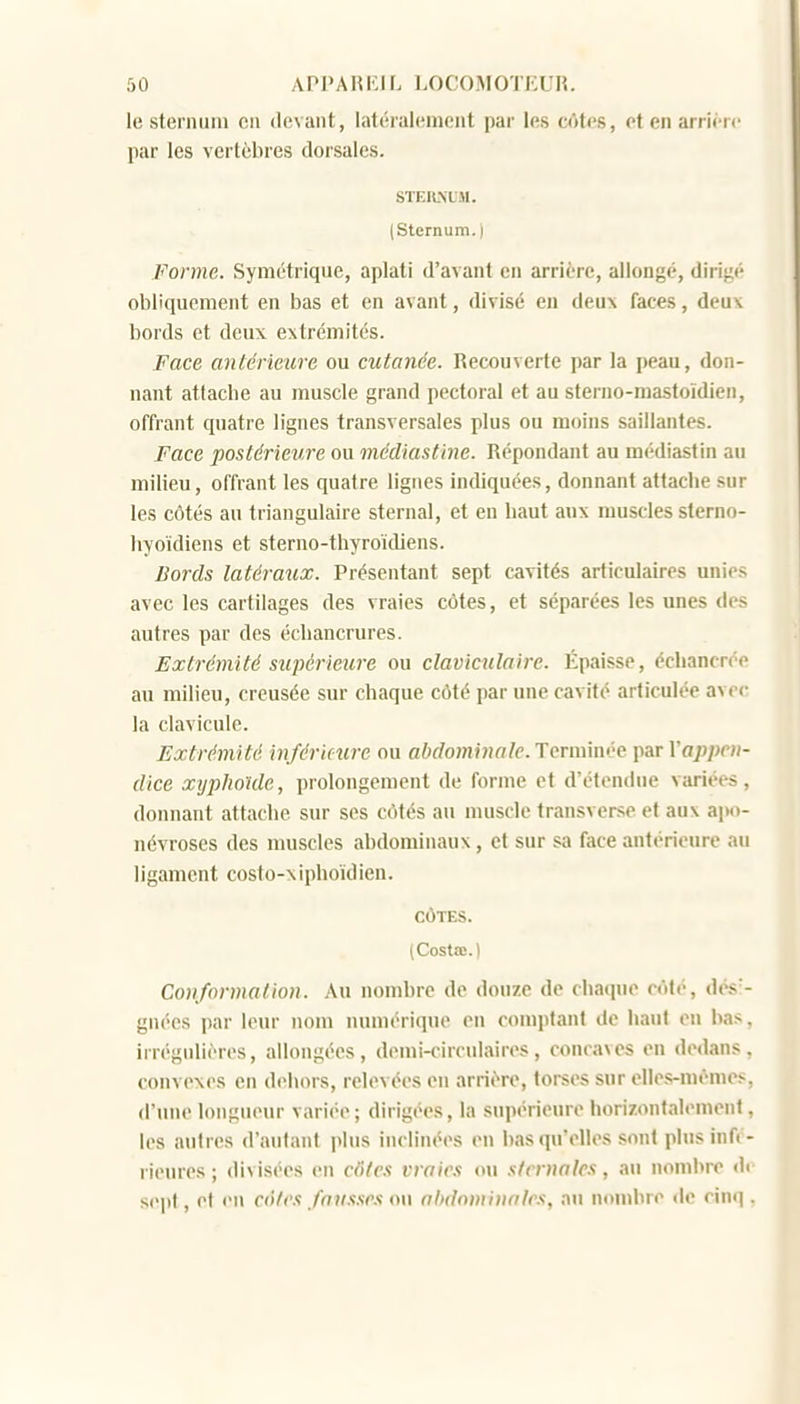 le sternum on devant, latéralement par les côtes, et en arrière par les vertèbres dorsales. STER.NL11. (Sternum.) Forme. Symétrique, aplati d'avant en arrière, allongé, dirigi' obliquement en bas et en avant, divisé en deux faces, deux bords et deux extrémités. Face antérieure ou cutanée. Recouverte par la peau, don- nant attache au muscle grand pectoral et au sterno-niastoïdien, offrant quatre lignes transversales plus ou moins saillantes. Face postérieure ou médiastine. Répondant au médiastin au milieu, offrant les quatre lignes indiquées, donnant attache sur les côtés au triangulaire sternal, et en haut aux muscles sterno- liyoïdiens et sterno-thyroïdiens. Bords latéraux. Présentant sept cavités articulaires unies avec les cartilages des vraies côtes, et séparées les unes des autres par des échancrures. Extrémité supérieure ou claviculaire. Épaisse, échancrée au milieu, creusée sur chaque côté par une cavité articulée avec la clavicule. Extrémité inférimre ou aft(/o?nj?!fl7e. Terminée par l'a/>;>f«- dice xypJioUde, prolongement de forme et d'étendue variées, donnant attache sur ses côtés an muscle fransverse et aux apo- névroses des umscles abdominaux, et sur sa face antérieure au ligament costo-xiphoïdieu. CÔTES. (CoStîB.) Co)iformation, kn nombre de douze de chaque côté, dési- gnées par leur nom numérique en comptant de haut en bas, irrégulières, allongées, demi-circulaires, concaves en dedans, convexes en dehors, relevées en arrière, torses sur elles-mêmes, d'une longueur variée ; dirigées, la supérieure horizontalement, les antres d'autant plus inclinées en bas qu'elles sont plus infé- rieures ; divisées en côtes vraies ou s/crnaks, au nombre di sept, et en côtes fausses ou ahdnminnie.'i, au nombre de cinq .