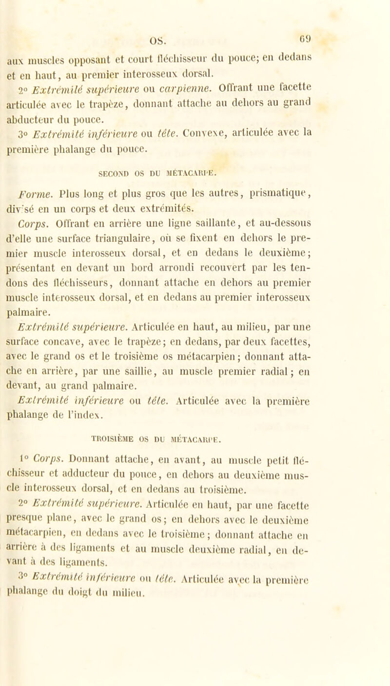 os. «!) aux muscles opposant et court lléchisseur du pouce; eu dedans et en haut, au premier interosseux dorsal. 2 Extrvmilé sujn'rieure ou carpicnne. Offrant une facette ai'ticulée avec le trapèze, donnant attache au dehors au grand abducteur du pouce. 3° Extrémité inférieure ou téte. Convexe, articulée avec la première phalange du pouce. SECOiXn os DU MÉTACAlll'E. Forme. Plus long et plus gros que les autres, prismatique, div'sé en un corps et deux extrémités. Corps. Offrant eu arrière une ligne saillante, et au-dessous d'elle une surface triangulaire, oii se fixent en dehors le pre- mier muscle interosseux dorsal, et en dedans le deuxième; présentant en devant un bord arrondi recouvert par les ten- dons des fléchisseurs, donnant attache en dehors au premier muscle interosseux dorsal, et en dedans au premier interosseux palmaire. Extrémité supérieure. Articulée en haut, au milieu, par une surface concave, avec le trapèze; en dedans, par deux facettes, avec le grand os et le troisième os métacarpien ; donnant atta- che en arrière, par une saillie, au muscle premier radial; en devant, au grand palmaire. Extrémité inférieure ou tète. Articulée avec la première phalange de l'index. TROISIÈME os DU MÉTACMll'E. 1° Corps. Donnant attache, en avant, au nuiscle petit flé- chisseur et adducteur du pouce, en dehors au deuxième mus- cle interosseux dorsal, et en dedans au troisième. 2 Extrémité supérieure. Articulée en haut, par une facette presque plane, avec le grand os; en dehors avec le deuxième métacarpien, en dedans avec le troisième ; donnant attache eu arrière à des ligaments et au muscle deuxième radial, en de- vant à des ligaments. 30 Extrémité inférieure ou téte. Articulée avec la première phalange du doigt du milieu.