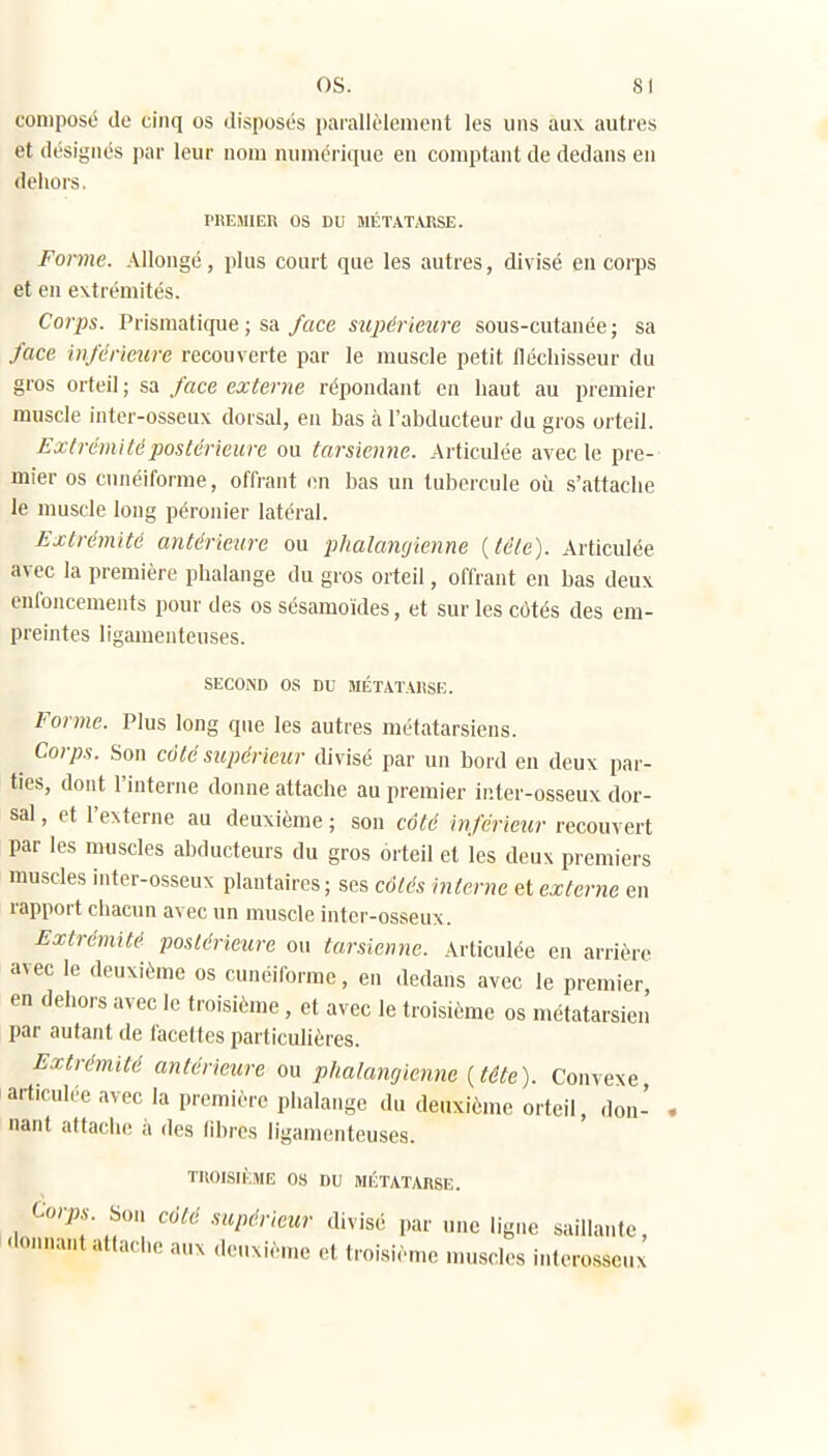 os. s I composé de cinq os disposés parallèlement les uns aux. autres et désignés par leur nom numérique en comptant de dedans en dehors. PREMlEn os DU MÉTAT.MtSE. Forme. Allongé, plus court que les autres, divisé en corps et en extrémités. Corps. Prismatique ; sa/ace supérieure sous-cutanée; sa face inférieure recouverte par le muscle petit fléchisseur du gros orteil ; sa face externe répondant en haut au premier muscle inter-osseux dorsal, en bas à l'abducteur du gros orteil. Extrémité postérieure ou tarsienne. Articulée avec le pre- mier os cunéiforme, offrant on bas un tubercule où s'attache le muscle long péroiiier latéral. Extrémité antérieure ou phalamfienne {téle). Articulée avec la première phalange du gros orteil, offrant en bas deux enfoncements pour des os sésamoïdes, et sur les côtés des em- preintes ligamenteuses. SECOND os DU MÉTATAIISE. Forme. Plus long que les autres métatarsiens. ^ Corps. Son côté supérieur divisé par un bord en deux par- ties, dont l'interne donne attache au premier inter-osseux dor- sal , et l'externe au deuxième ; son côté inférieur recouvert par les muscles abducteurs du gros orteil et les deux premiers muscles inter-osseux plantaires ; ses côtés interne et externe en rapport chacun avec un muscle inter-osseux. Extrémité postérieure ou tarsienne. Articulée en arrière avec le deuxième os cunéiforme, en dedans avec le premier en dehors avec le troisième, et avec le troisième os métatarsien' par autant de facettes particulières. Extrémité antérieure ou phalancjicnne [tête). Convexe articulée avec la première phalange du deuxième orteil, don- nant attache à des fibres ligamenteuses. THOISIÈME os DU MÉTATARSE. Cor;,. Son côté supérieur divisé par une ligne saillante, donnant attache aux deuxième et troisième muscles interosseux